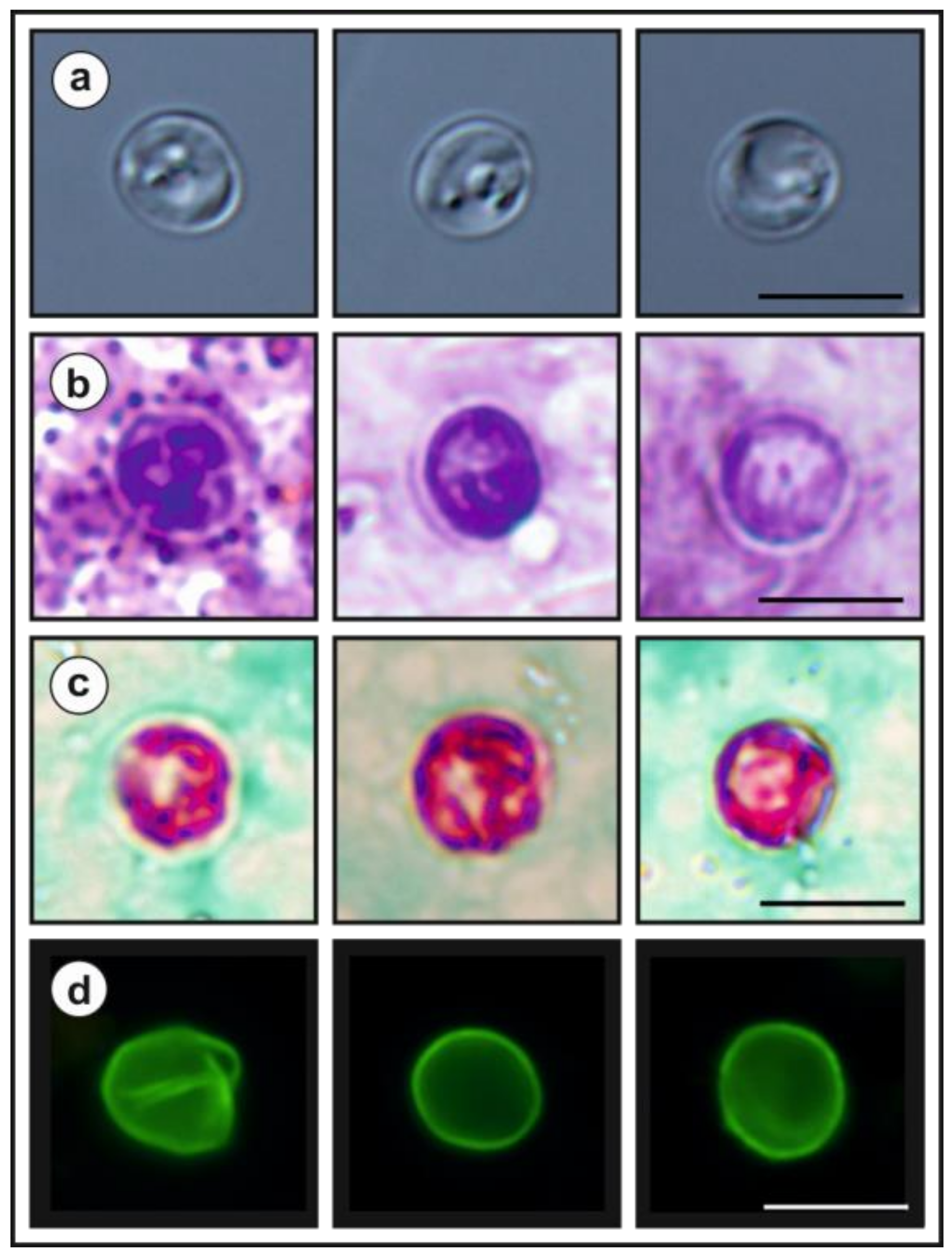Microorganisms 09 00813 g009 Microorganisms 09 00813 g009