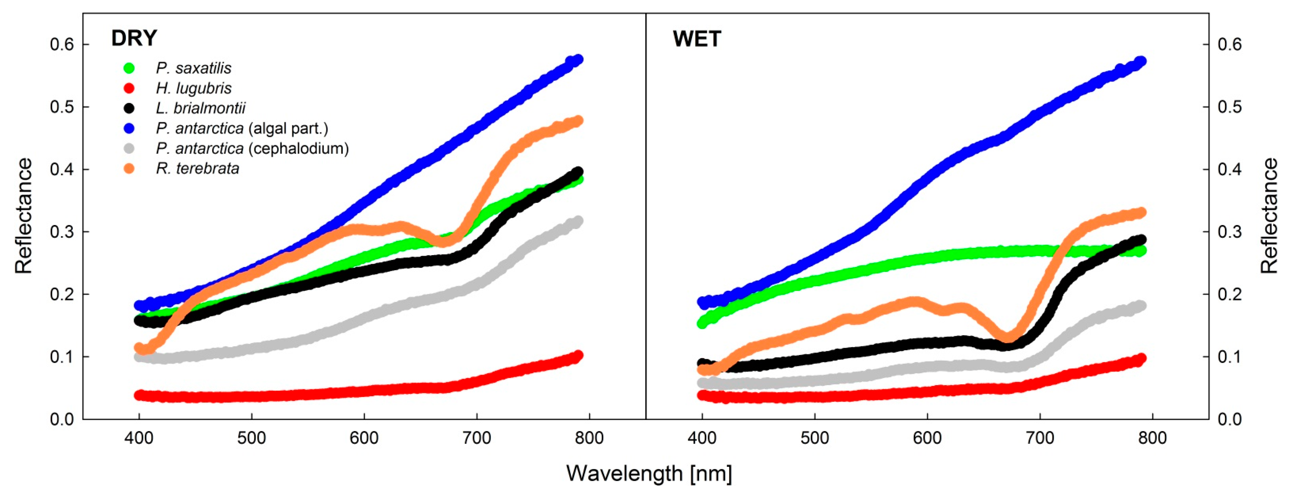 Microorganisms 09 00818 g008