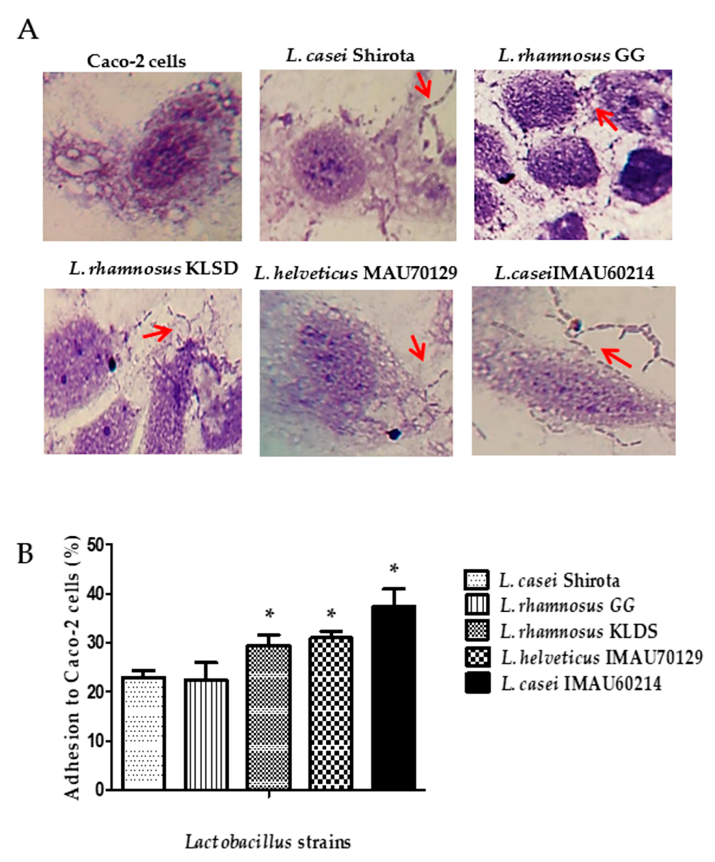 Microorganisms 09 00825 g004