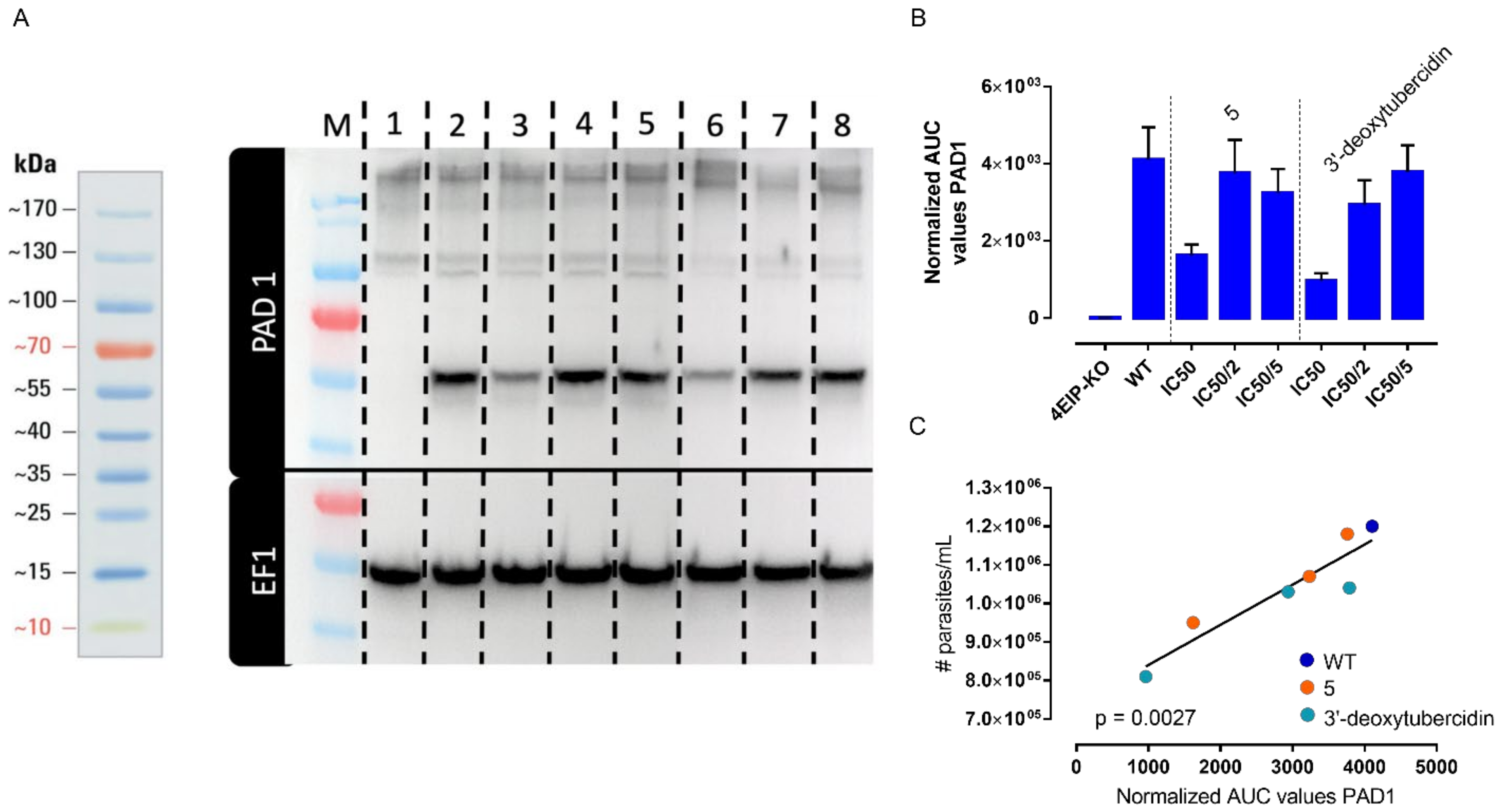 Microorganisms 09 00826 g007 Microorganisms 09 00826 g007