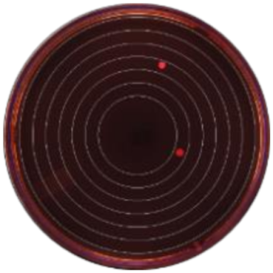 Microorganisms 09 00828 i005