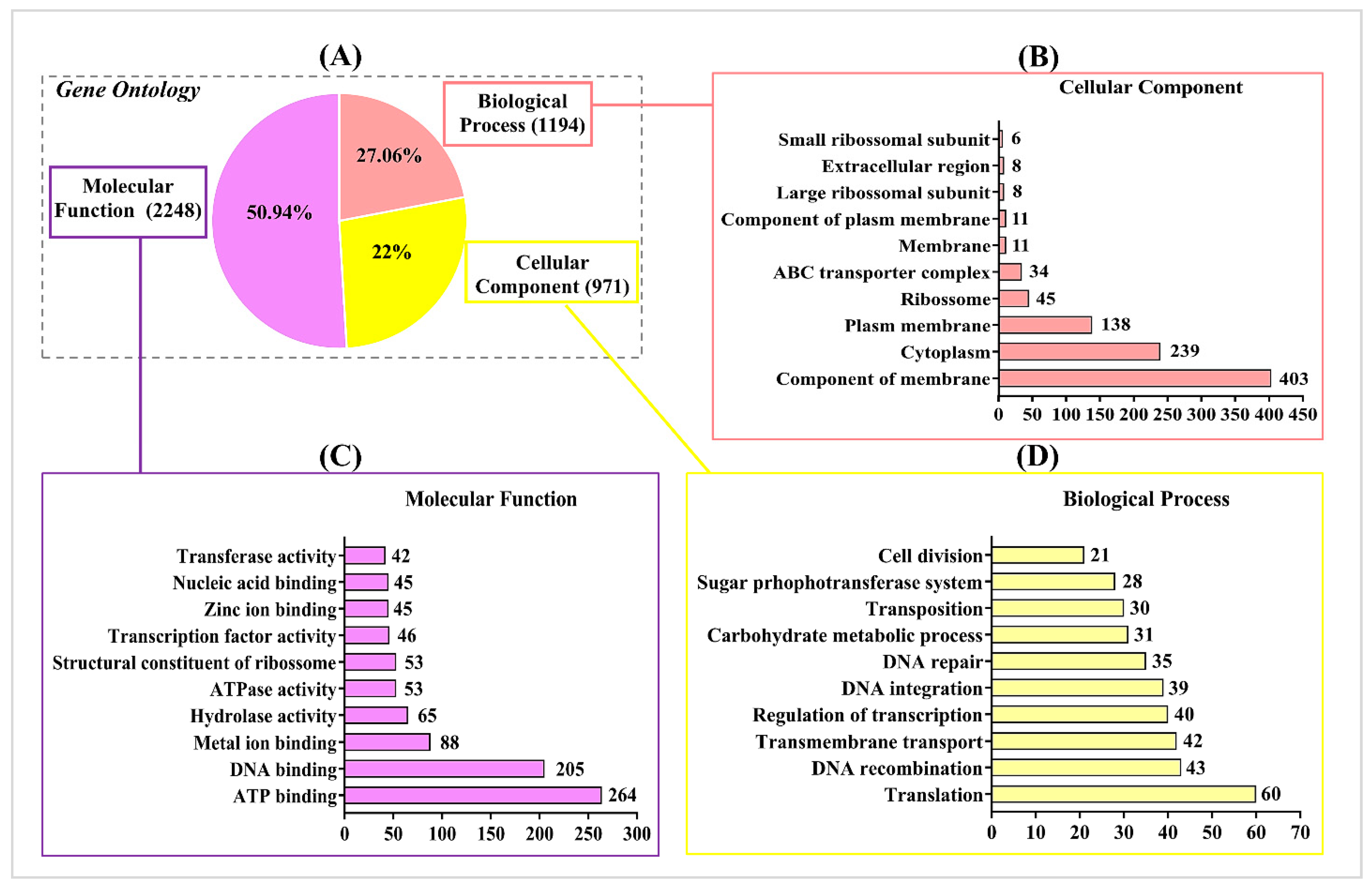 Microorganisms Free Full Text Probiogenomics Of Lactobacillus Delbrueckii Subsp Lactis Cidca 133 In Silico In Vitro And In Vivo Approaches Html