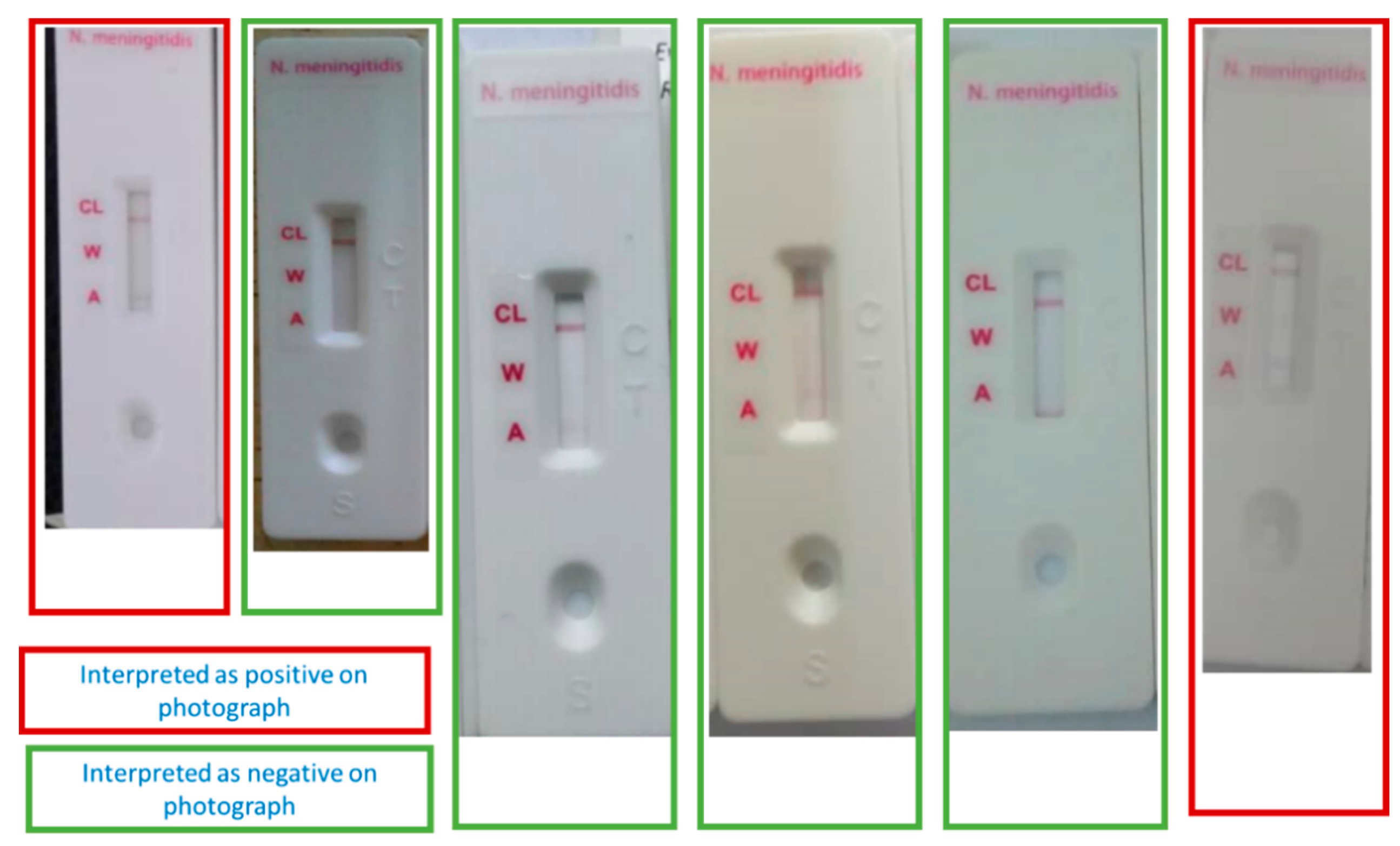 Microorganisms 09 00832 g001