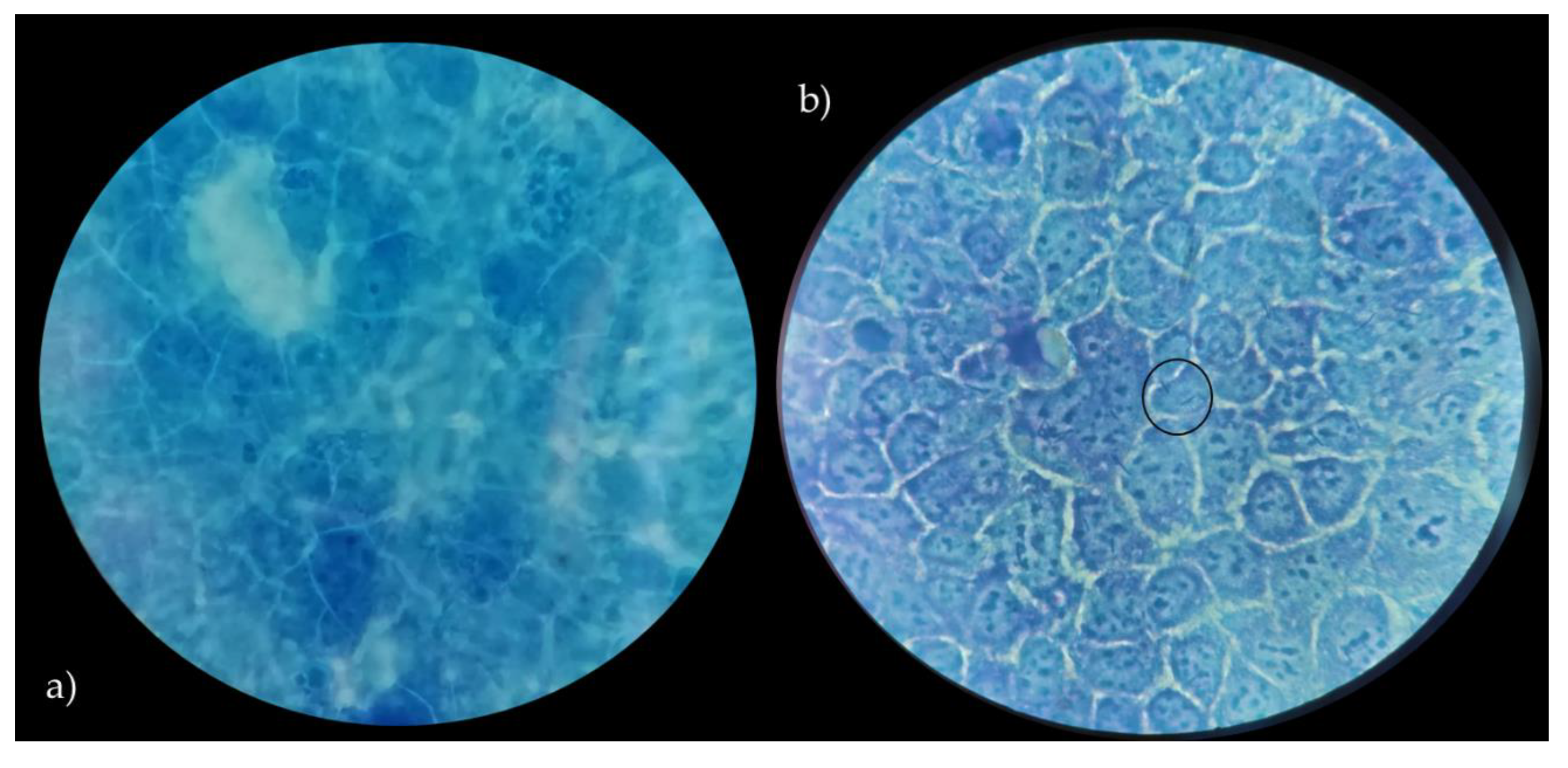 Microorganisms 09 00833 g005