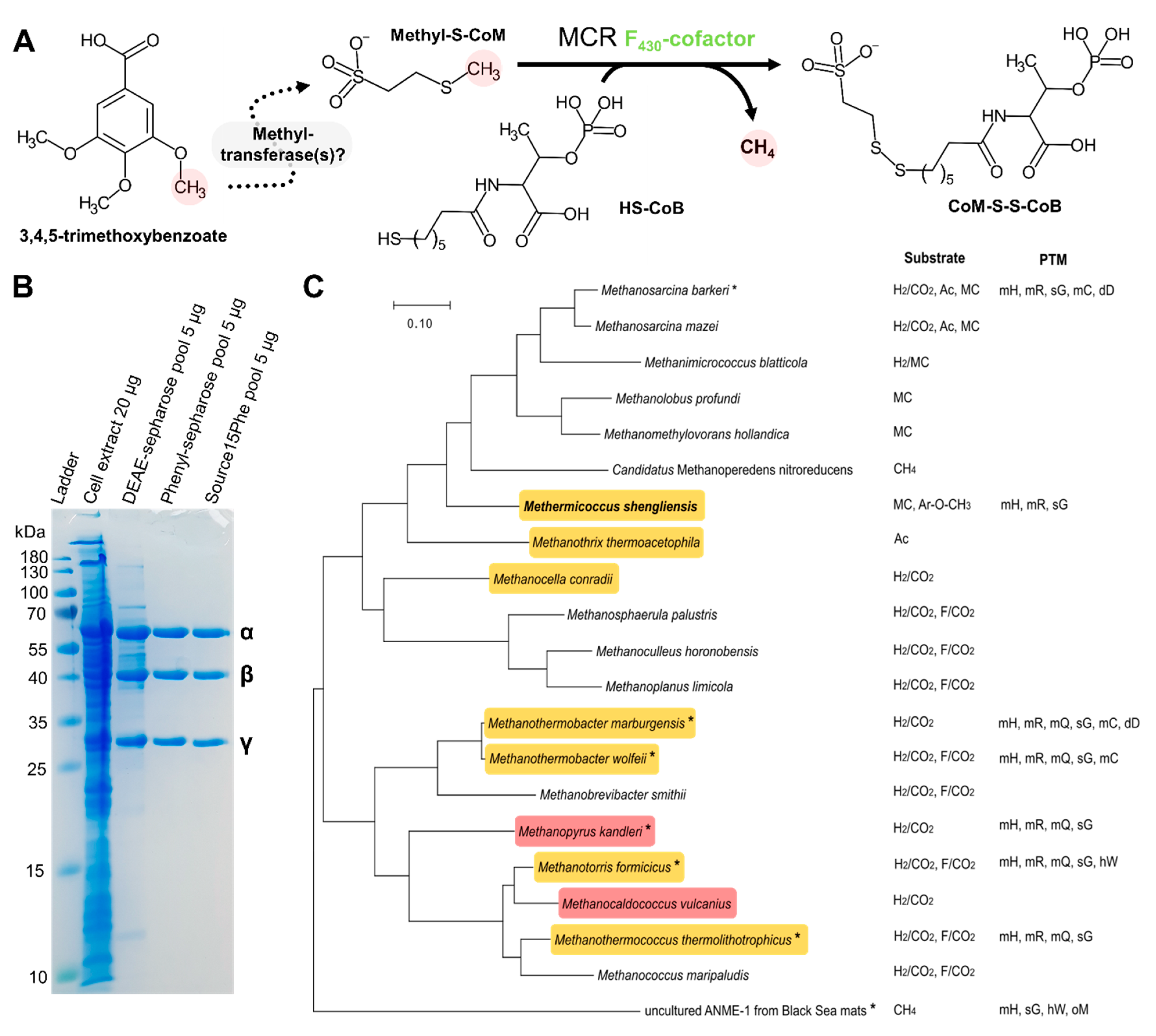 Microorganisms 09 00837 g001 Microorganisms 09 00837 g001