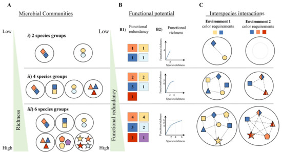Genome-driven evolutionary game theory helps understand the rise of  metabolic interdependencies in microbial communities