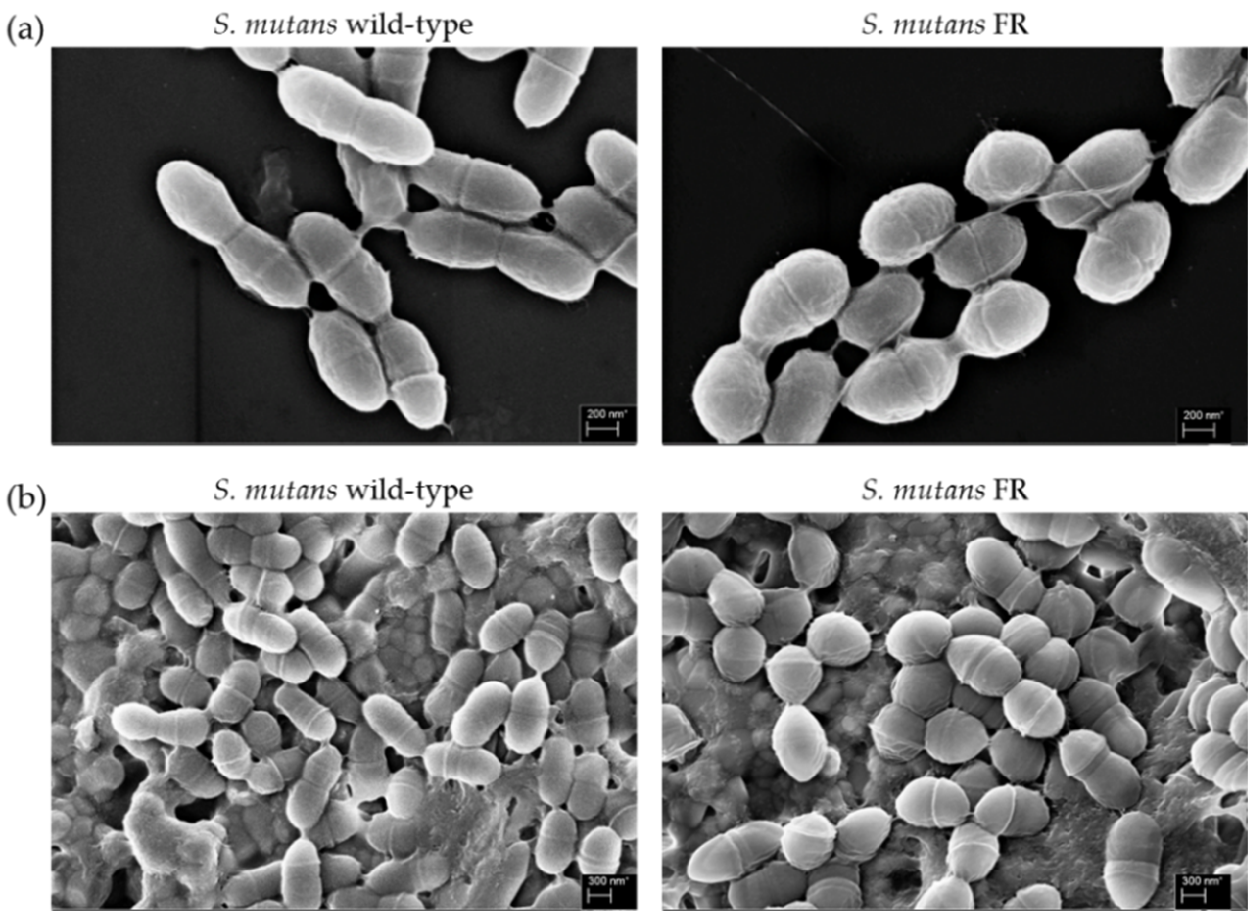 Microorganisms 09 00849 g003 Microorganisms 09 00849 g003