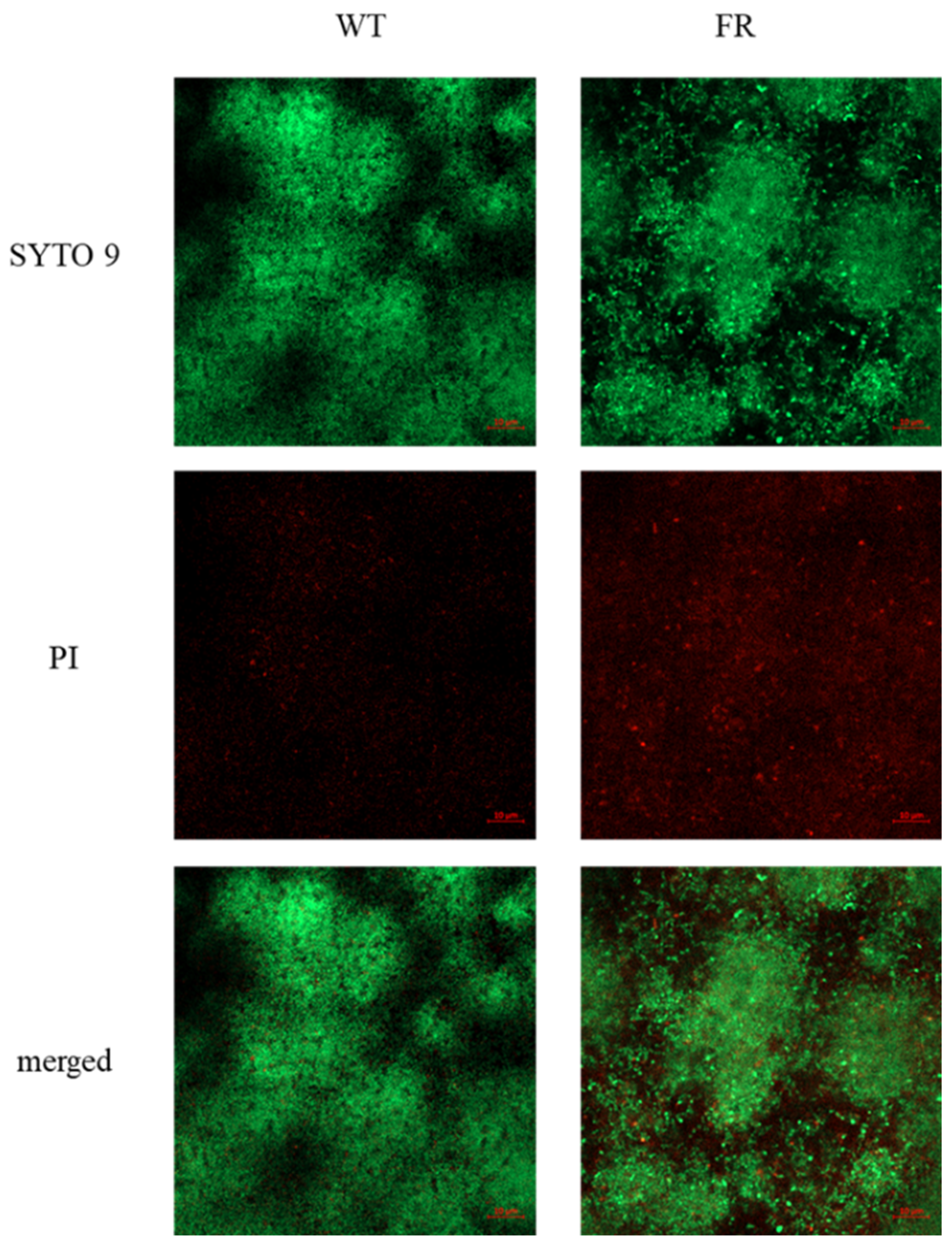 Microorganisms 09 00849 g004 Microorganisms 09 00849 g004