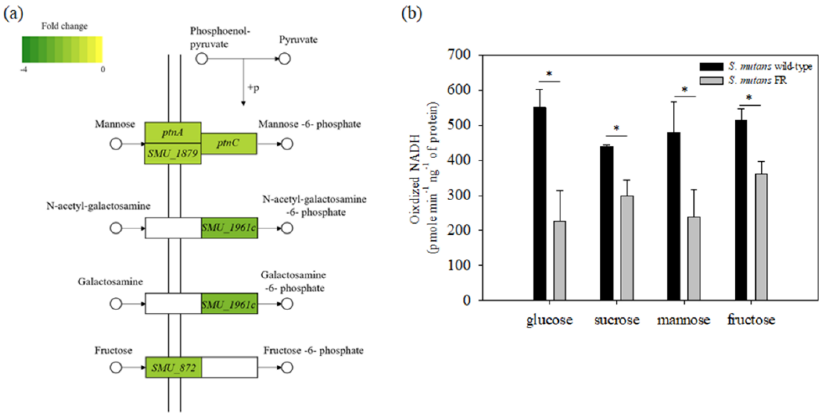 Microorganisms 09 00849 g006 Microorganisms 09 00849 g006