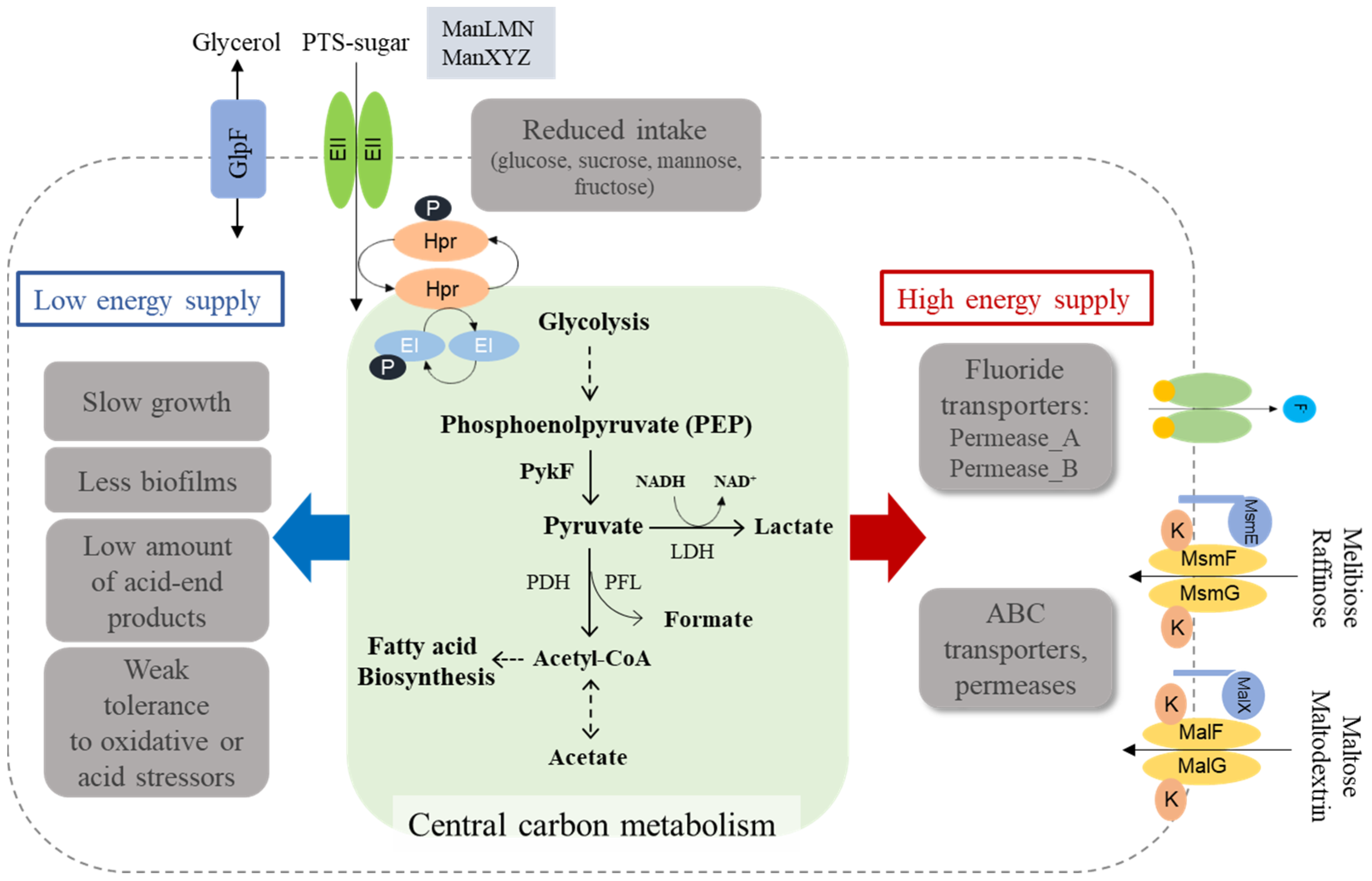 Microorganisms 09 00849 g008 Microorganisms 09 00849 g008