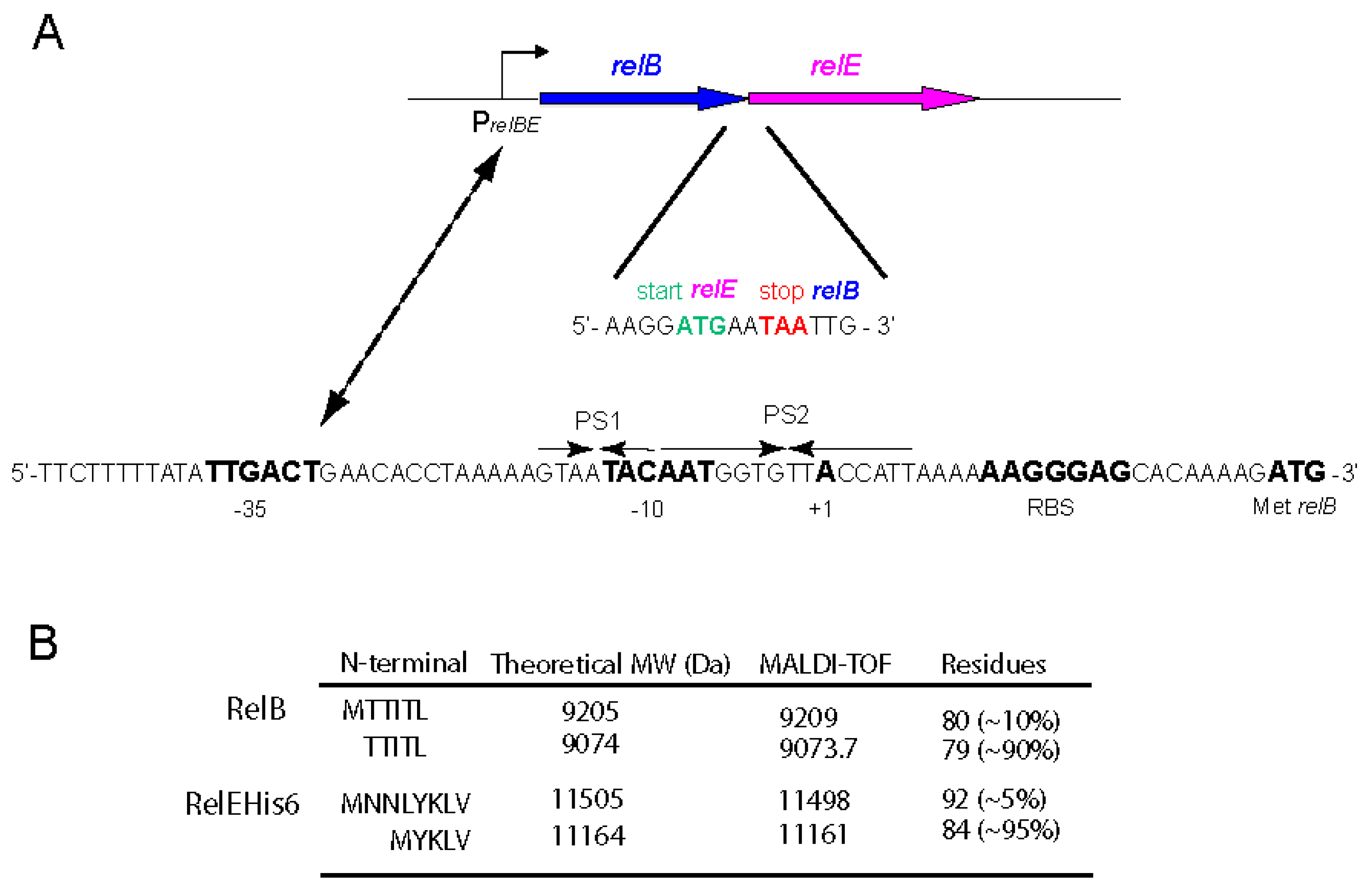 Microorganisms 09 00851 g001 Microorganisms 09 00851 g001
