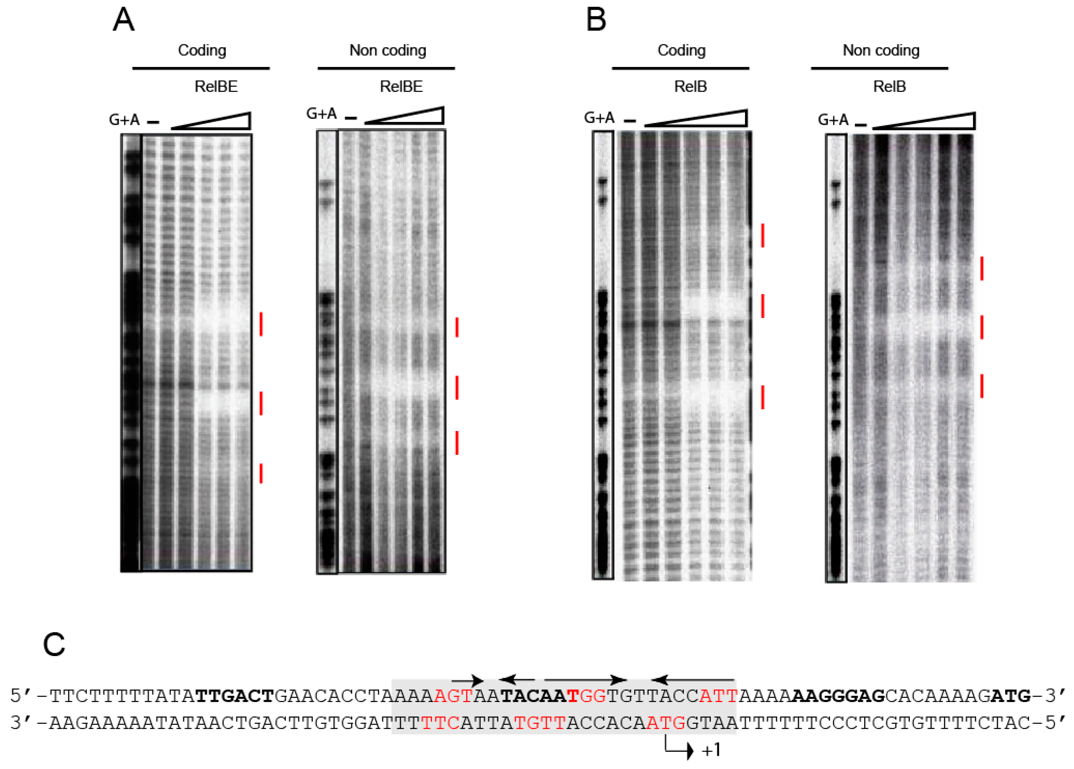 Microorganisms 09 00851 g005 Microorganisms 09 00851 g005