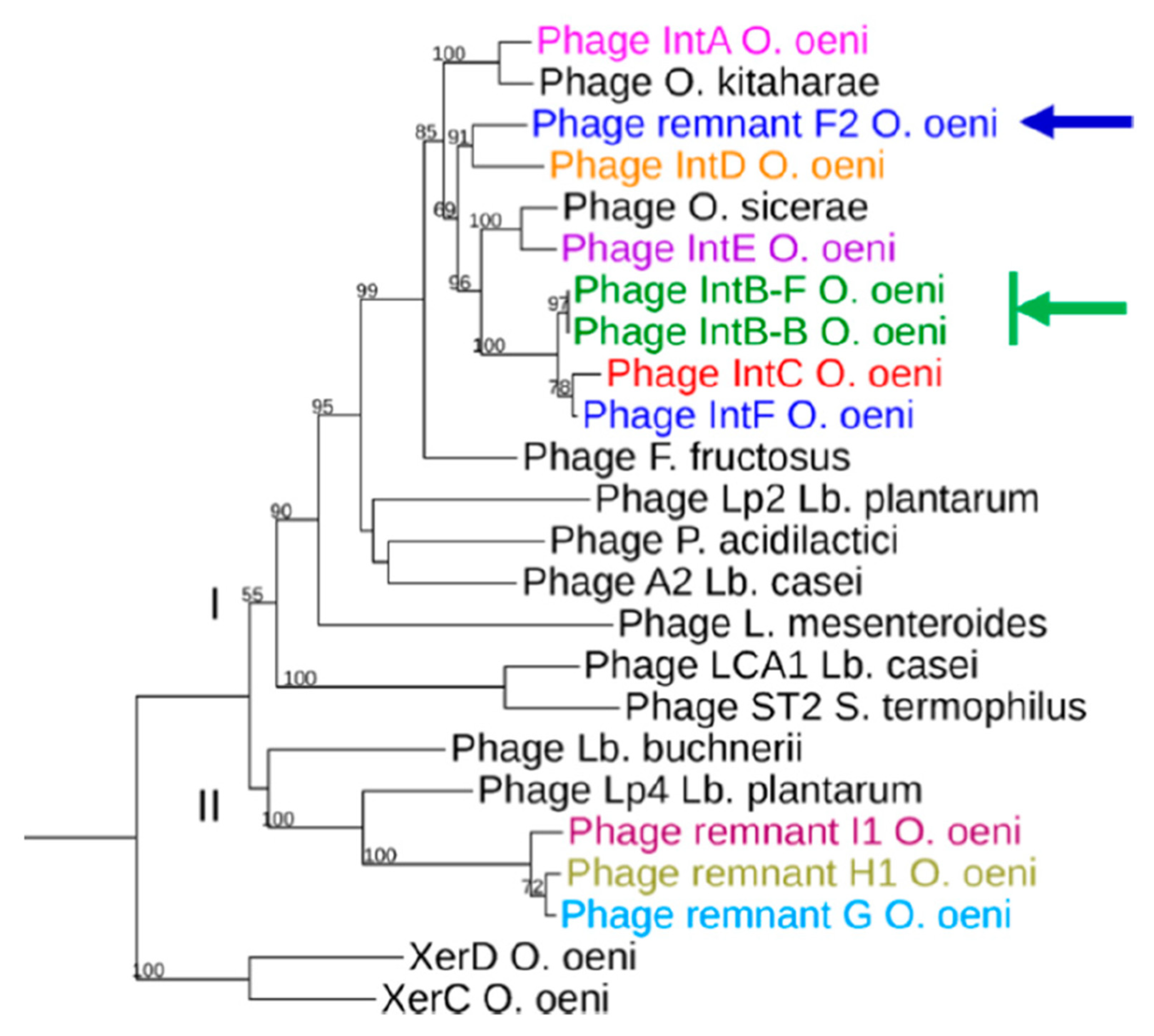 Microorganisms 09 00856 g003 Microorganisms 09 00856 g003