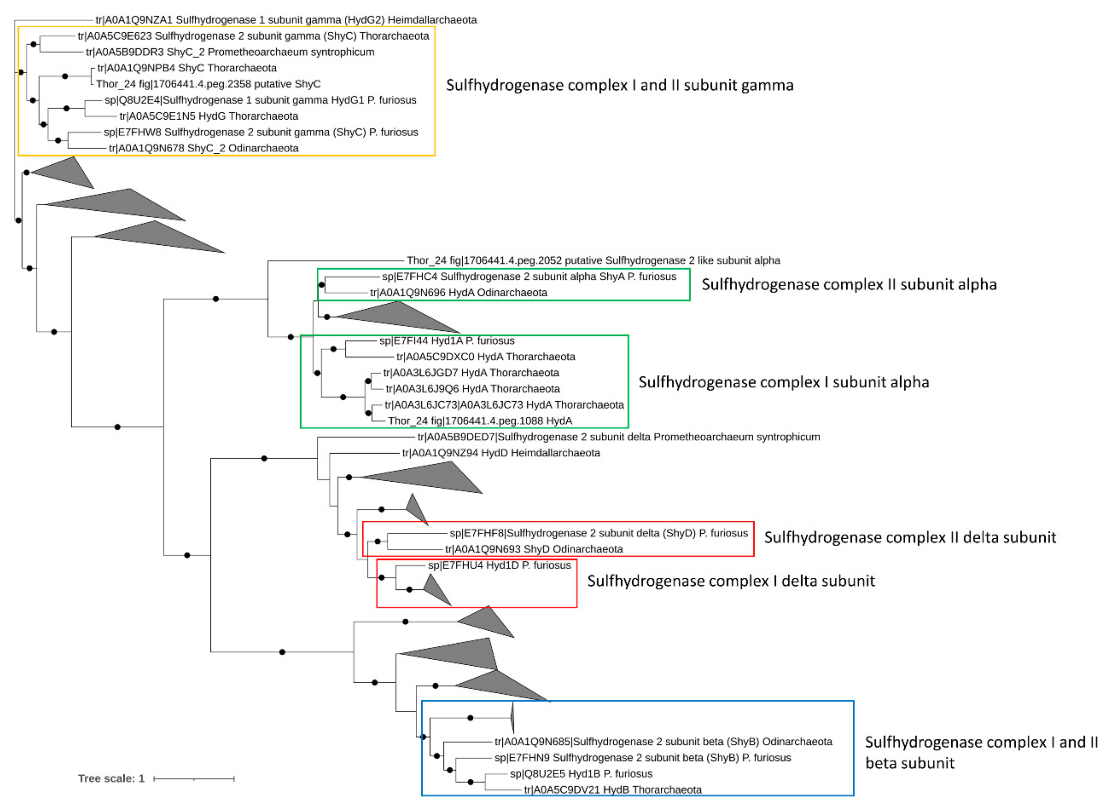 Microorganisms 09 00859 g003 Microorganisms 09 00859 g003