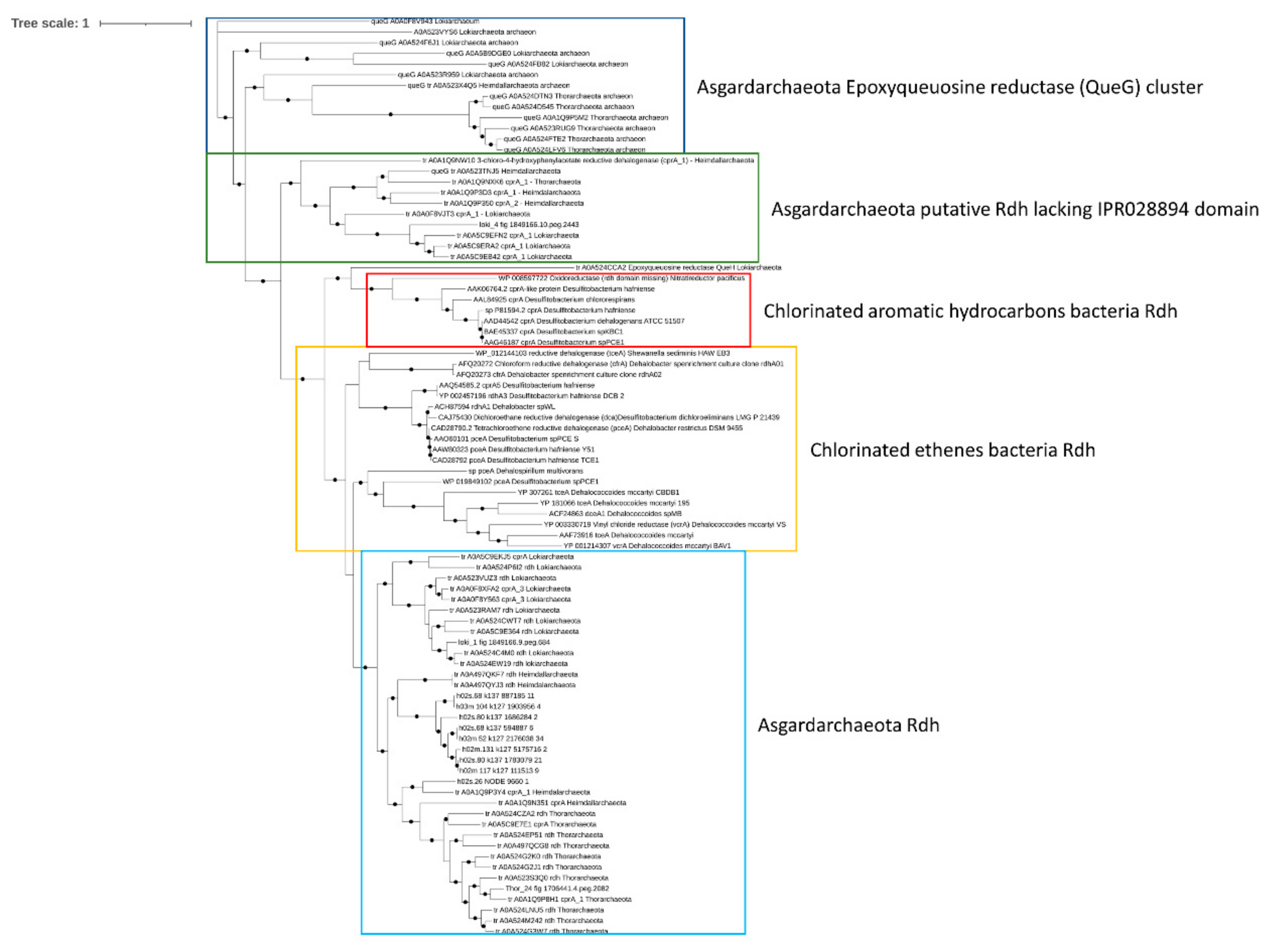 Microorganisms 09 00859 g006 Microorganisms 09 00859 g006