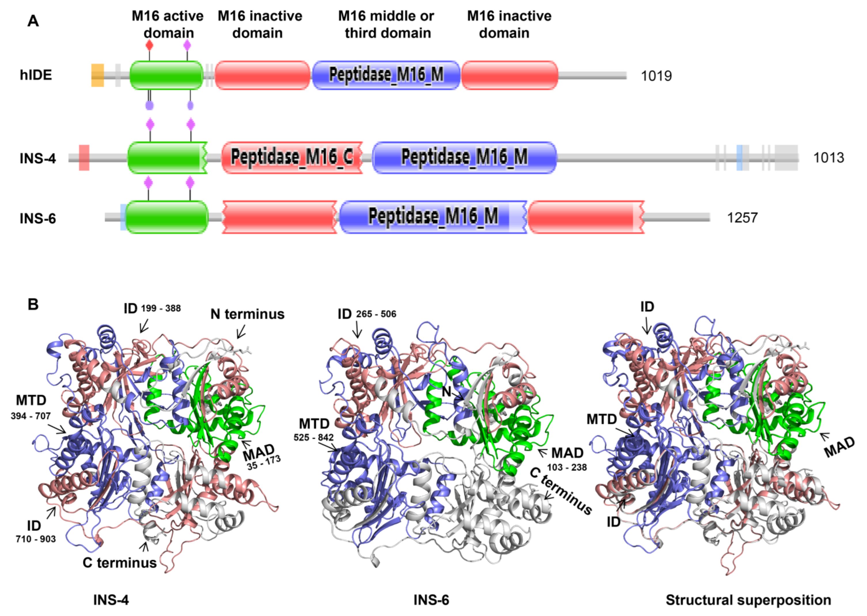 Microorganisms 09 00861 g001
