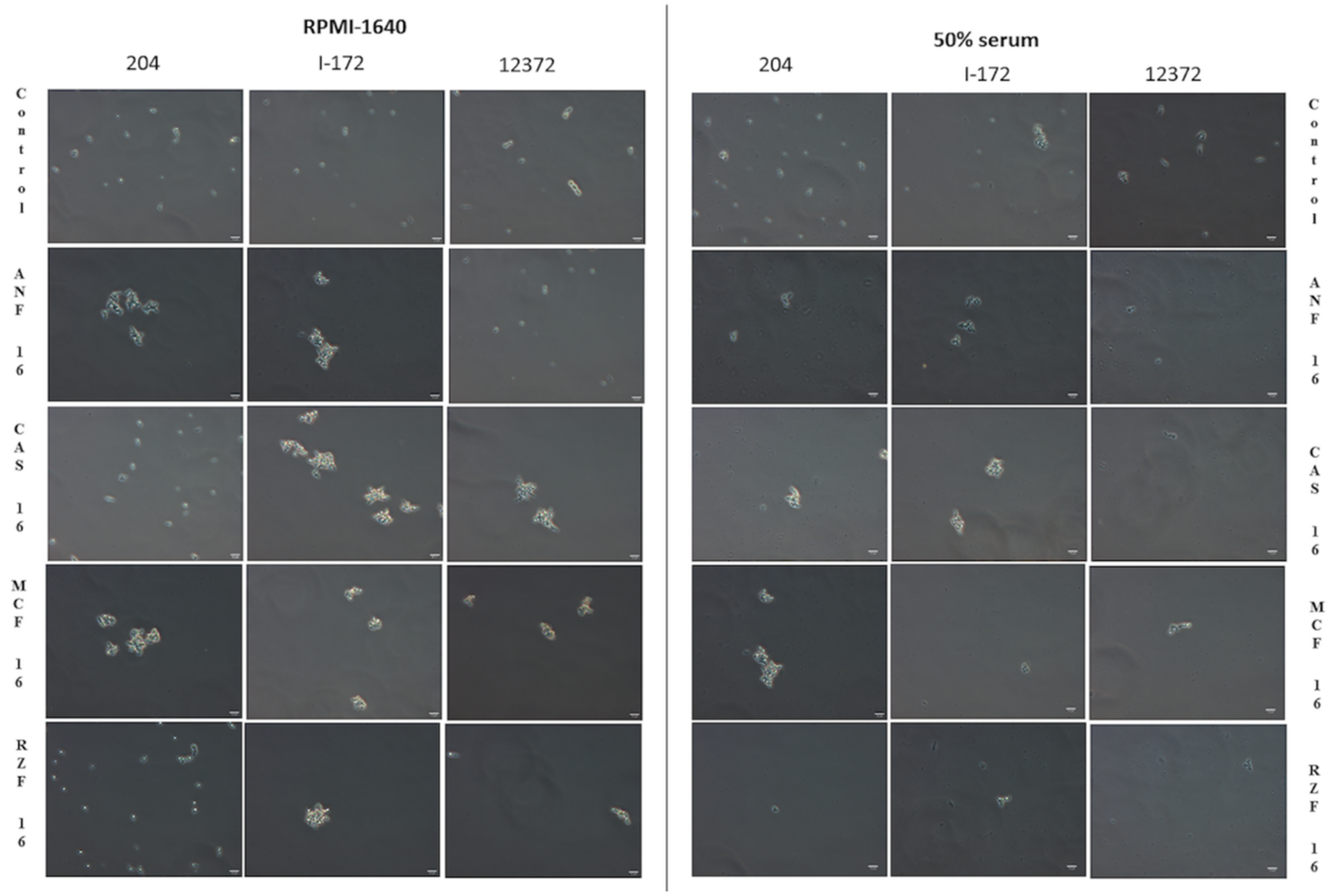 Microorganisms 09 00863 g003 Microorganisms 09 00863 g003