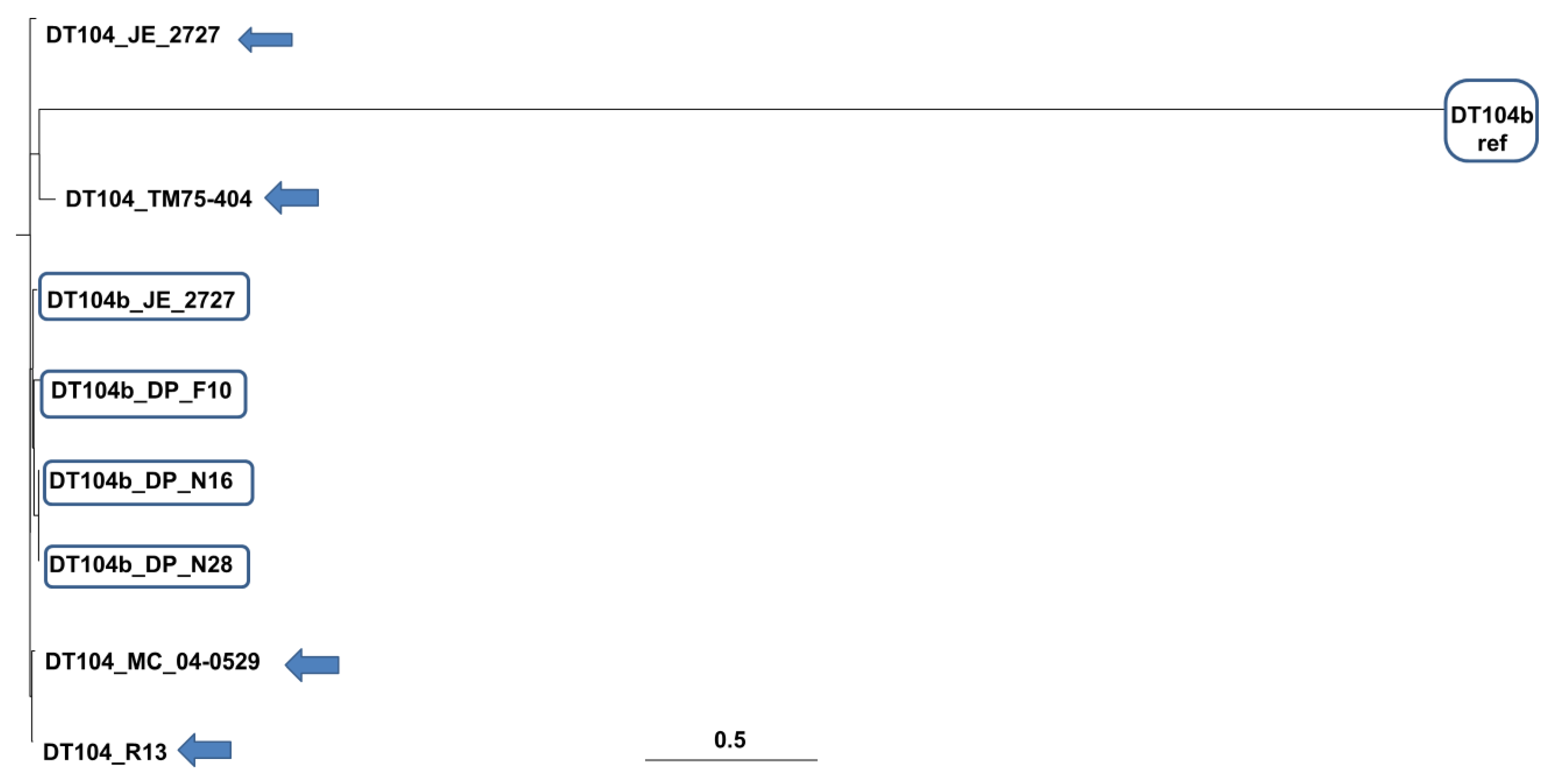 Microorganisms 09 00865 g001