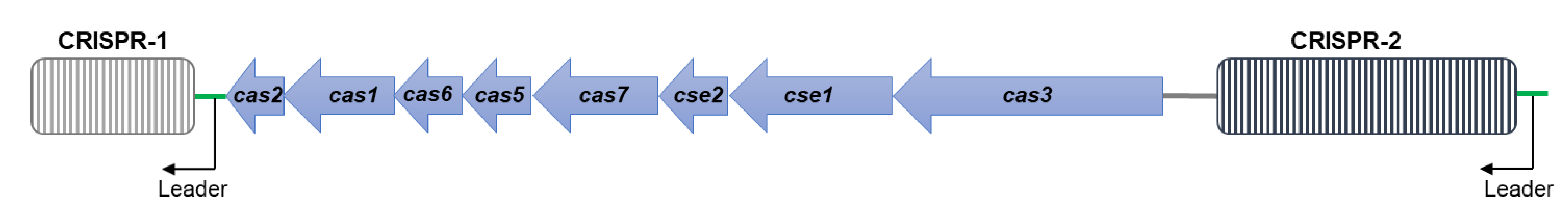 Microorganisms 09 00865 g002