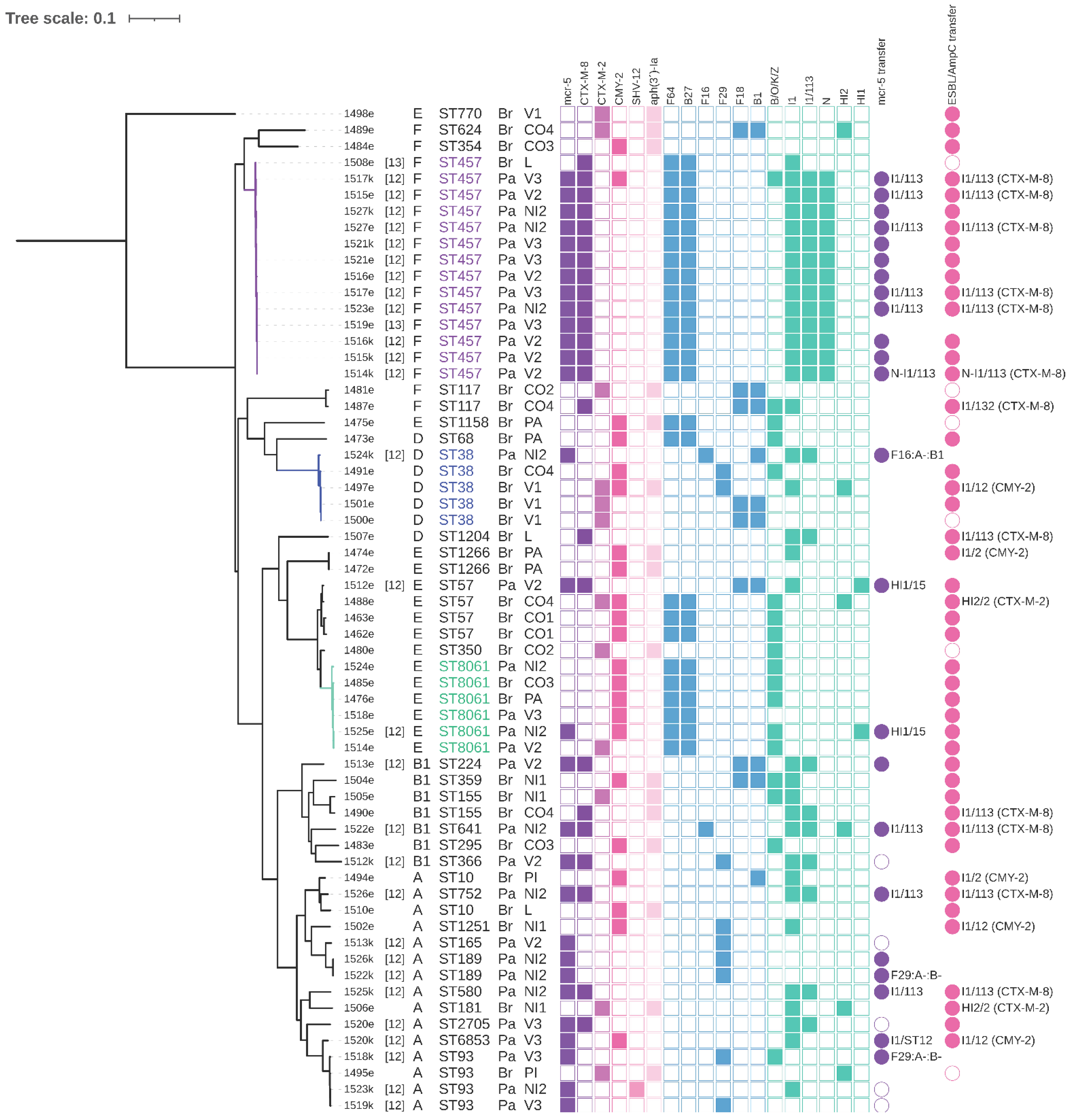 Microorganisms 09 00866 g002