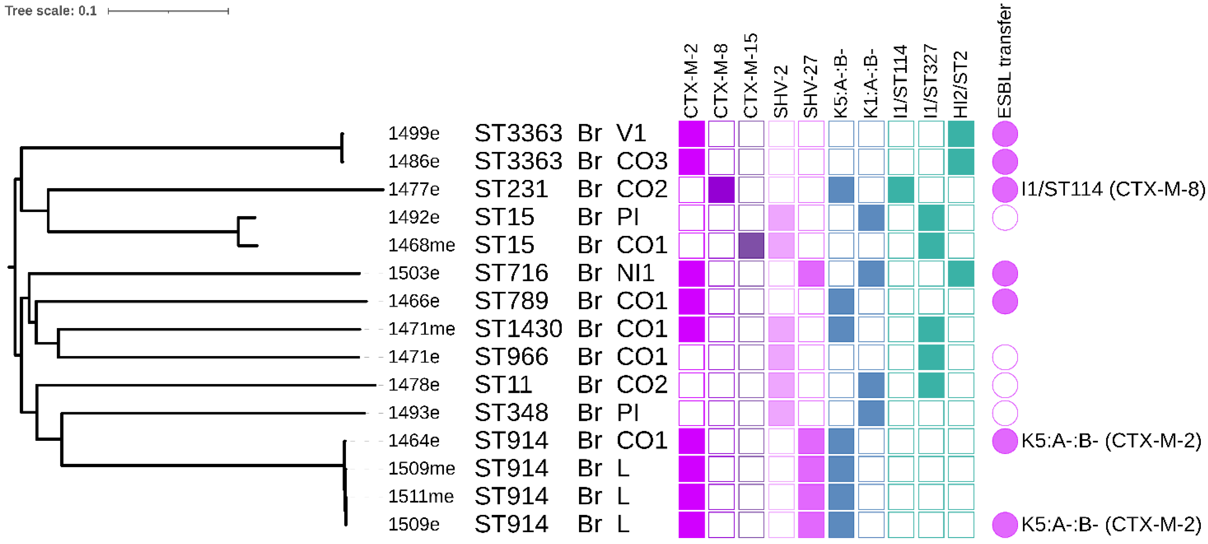 Microorganisms 09 00866 g003