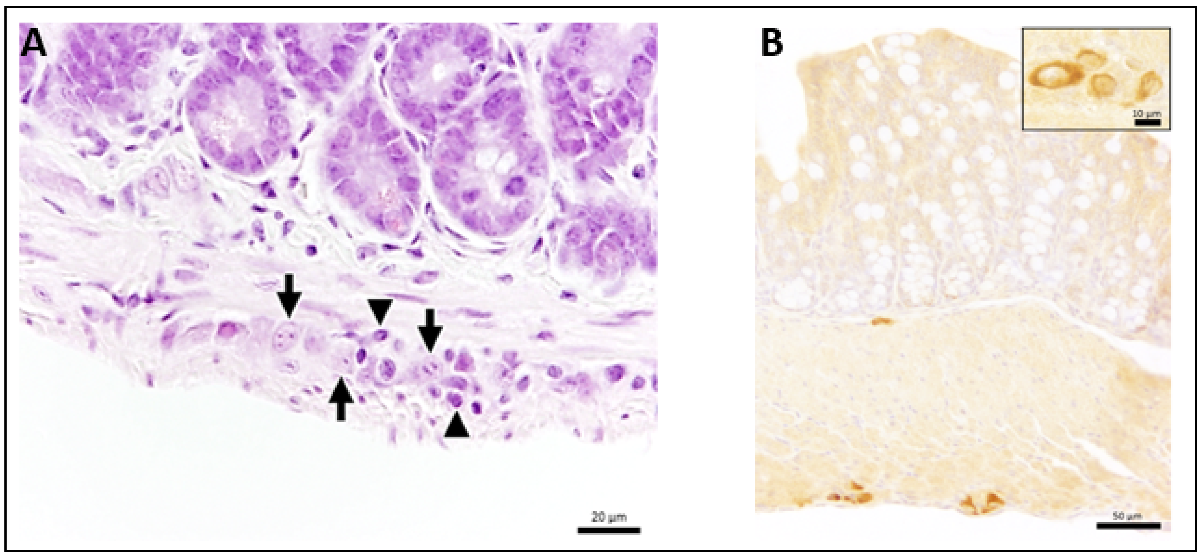 Microorganisms 09 00875 g002 Microorganisms 09 00875 g002