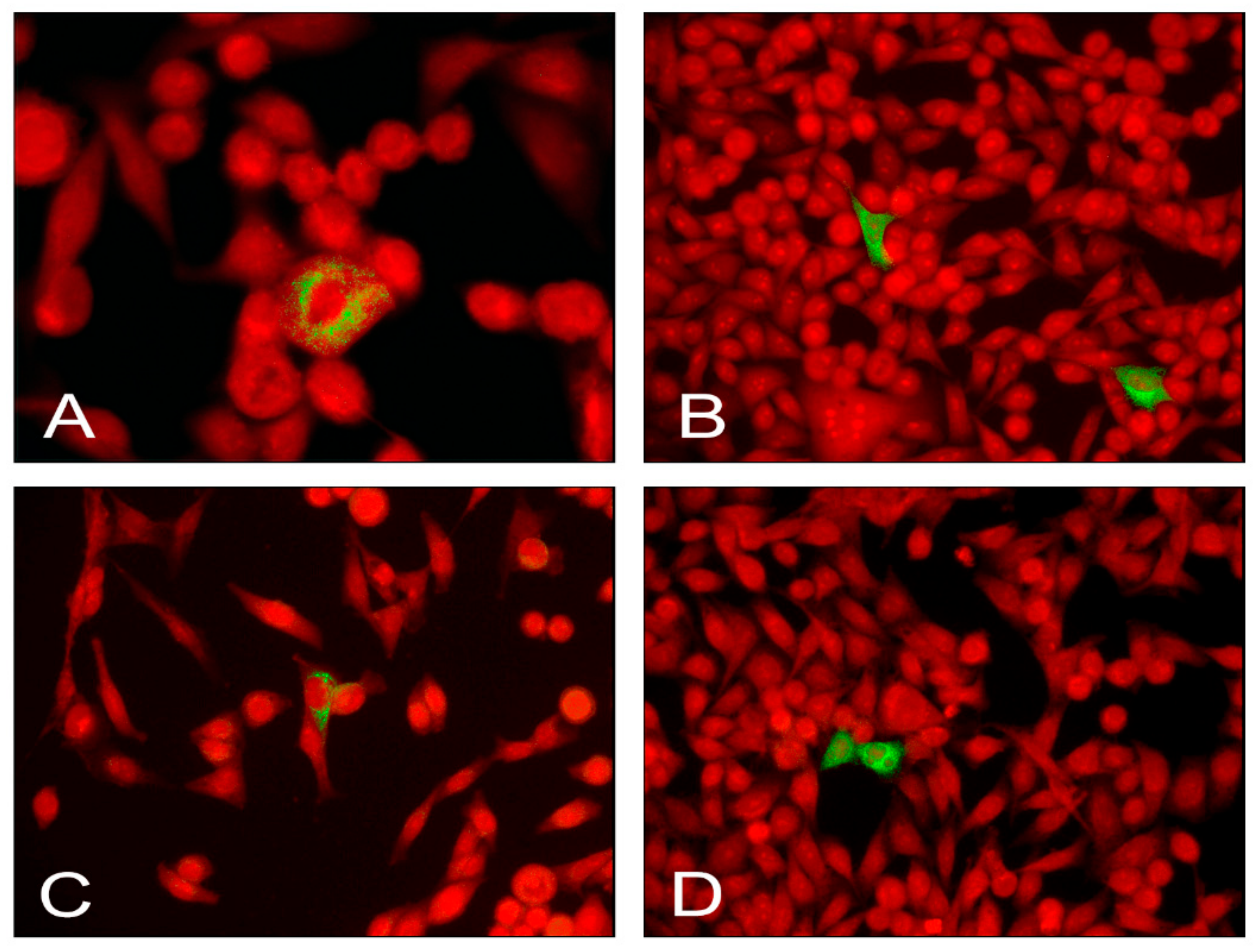 Microorganisms 09 00876 g001