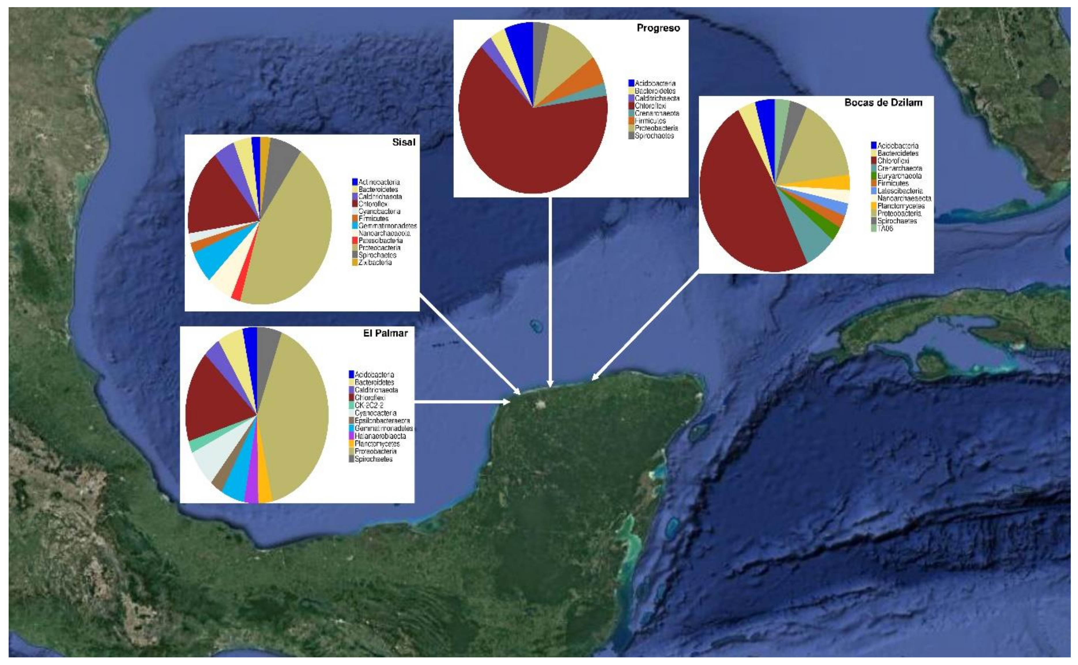Microorganisms 09 00877 g004 Microorganisms 09 00877 g004