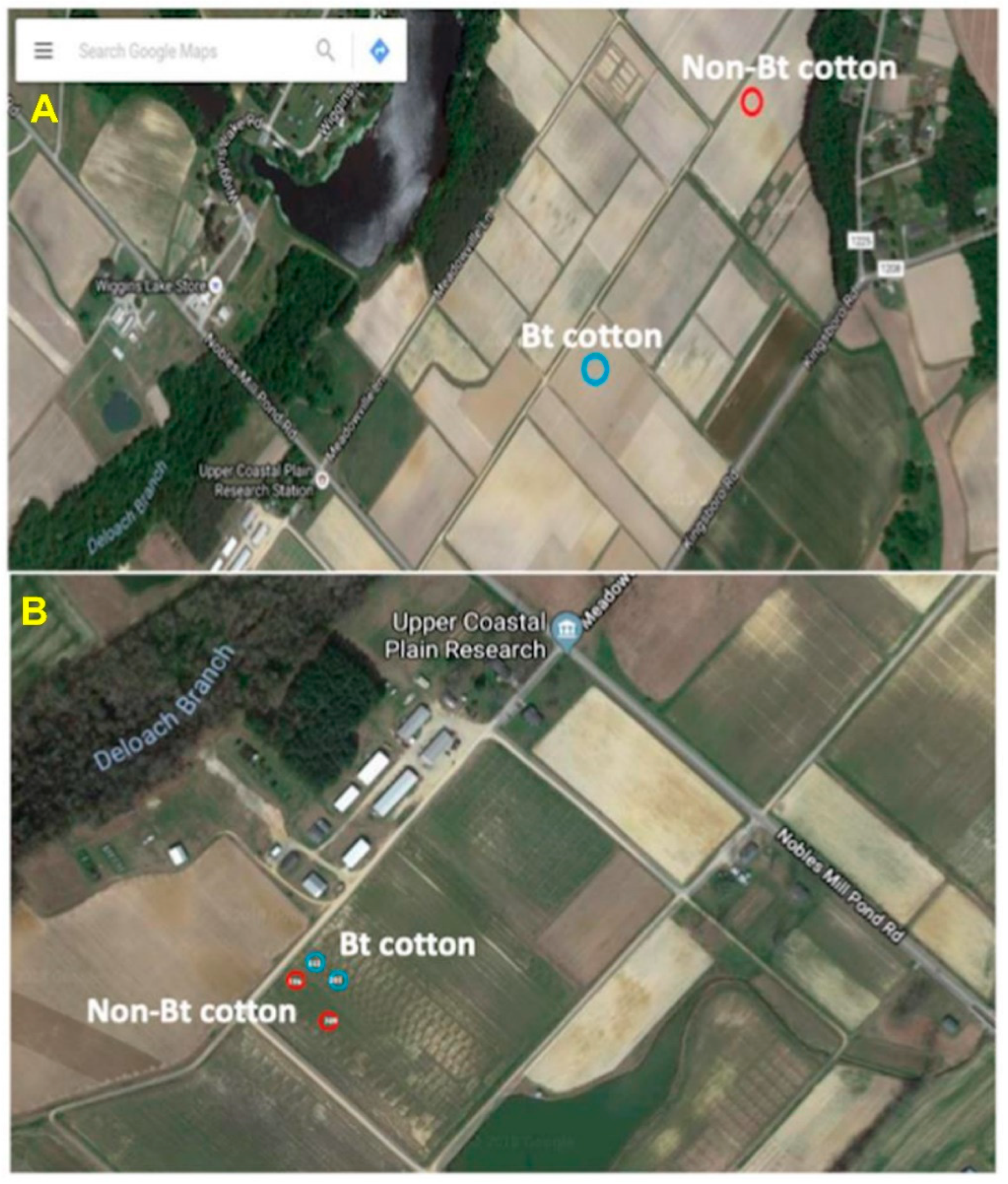 Microorganisms 09 00878 g001