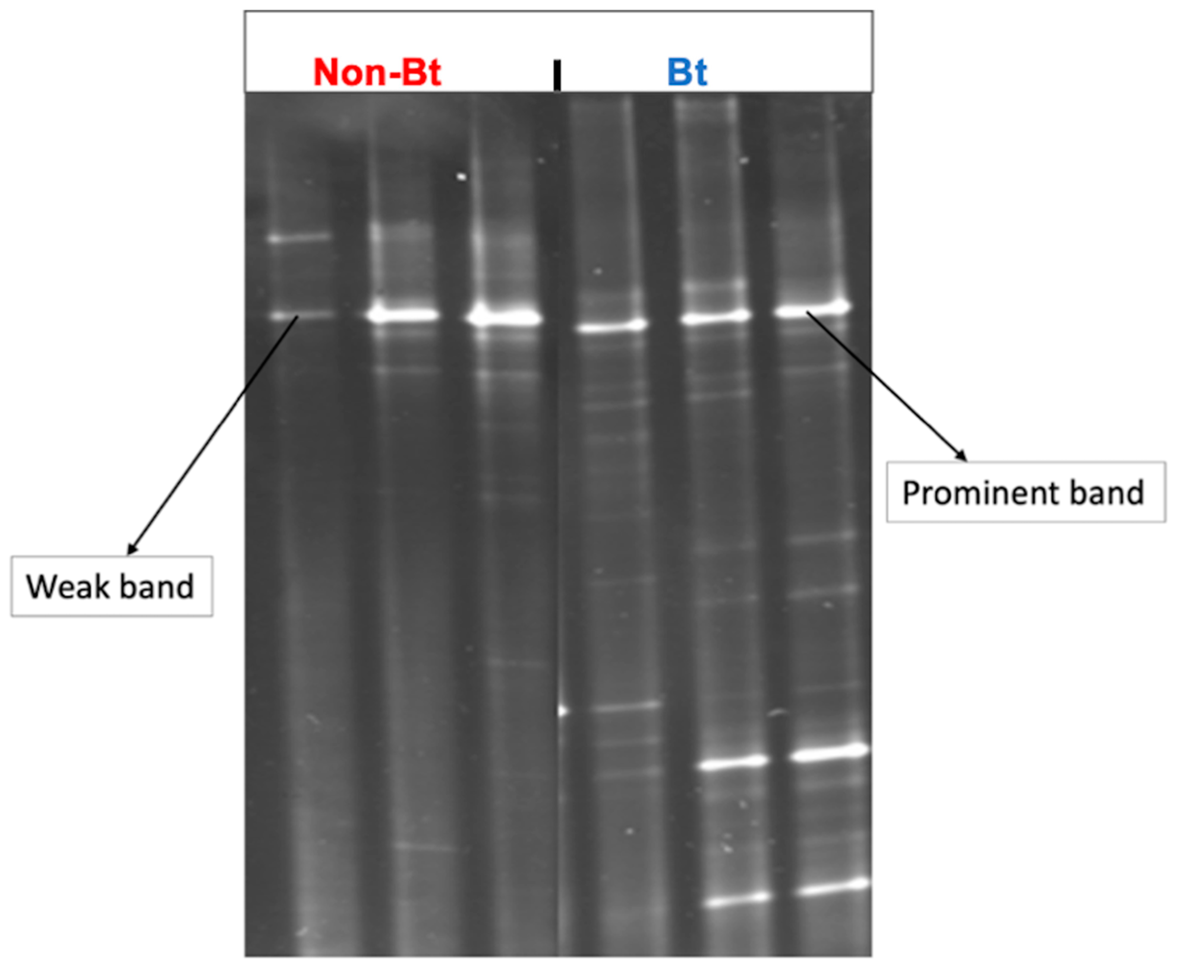 Microorganisms 09 00878 g003