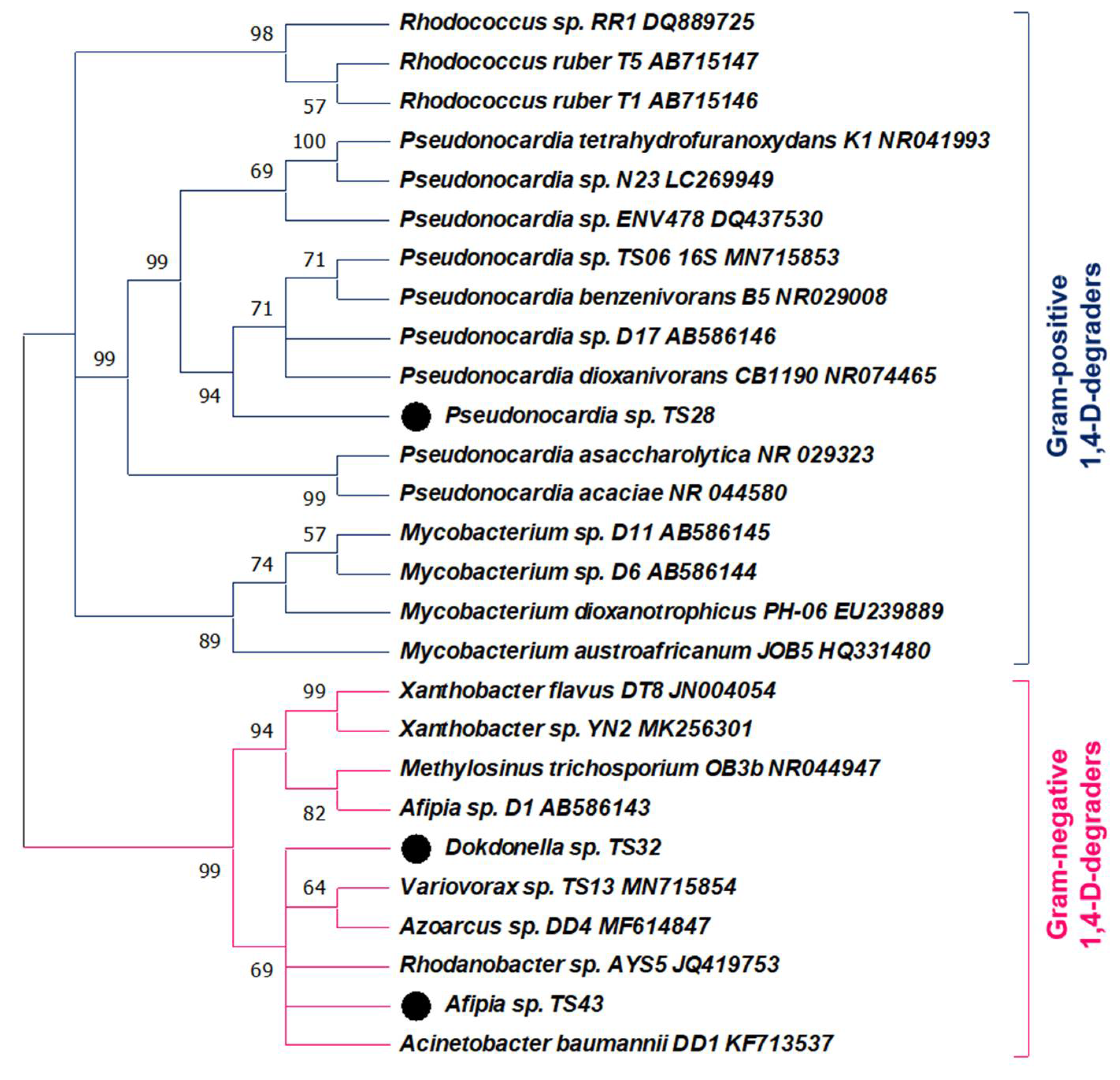 Microorganisms 09 00887 g002