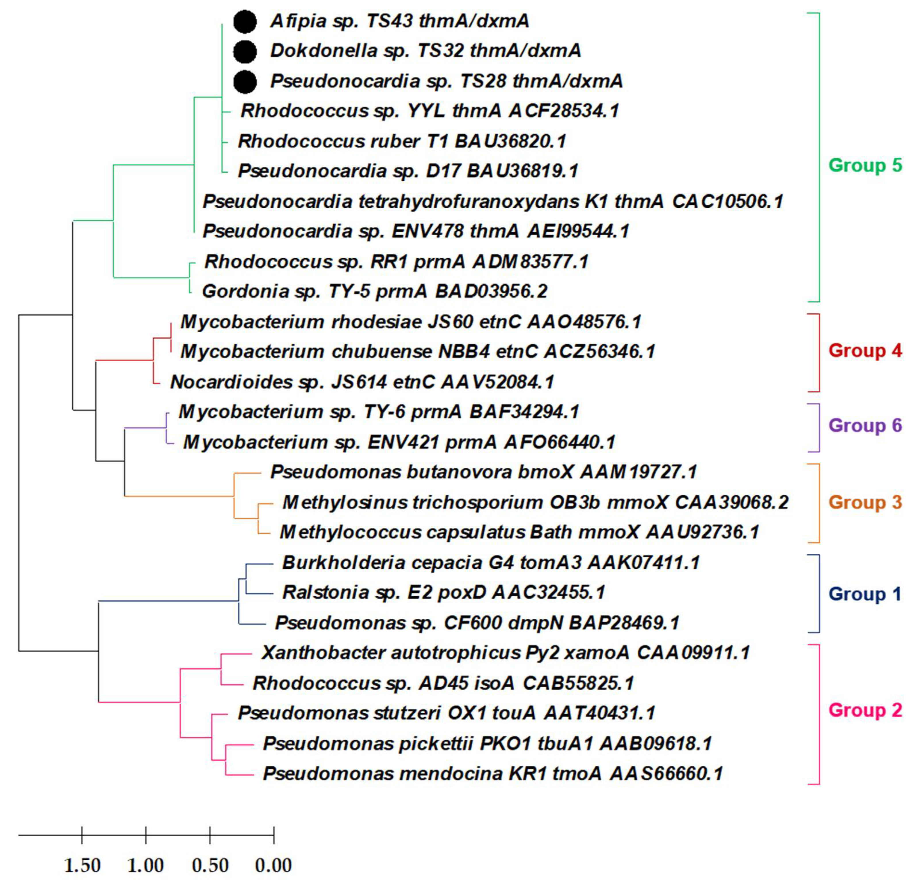 Microorganisms 09 00887 g004