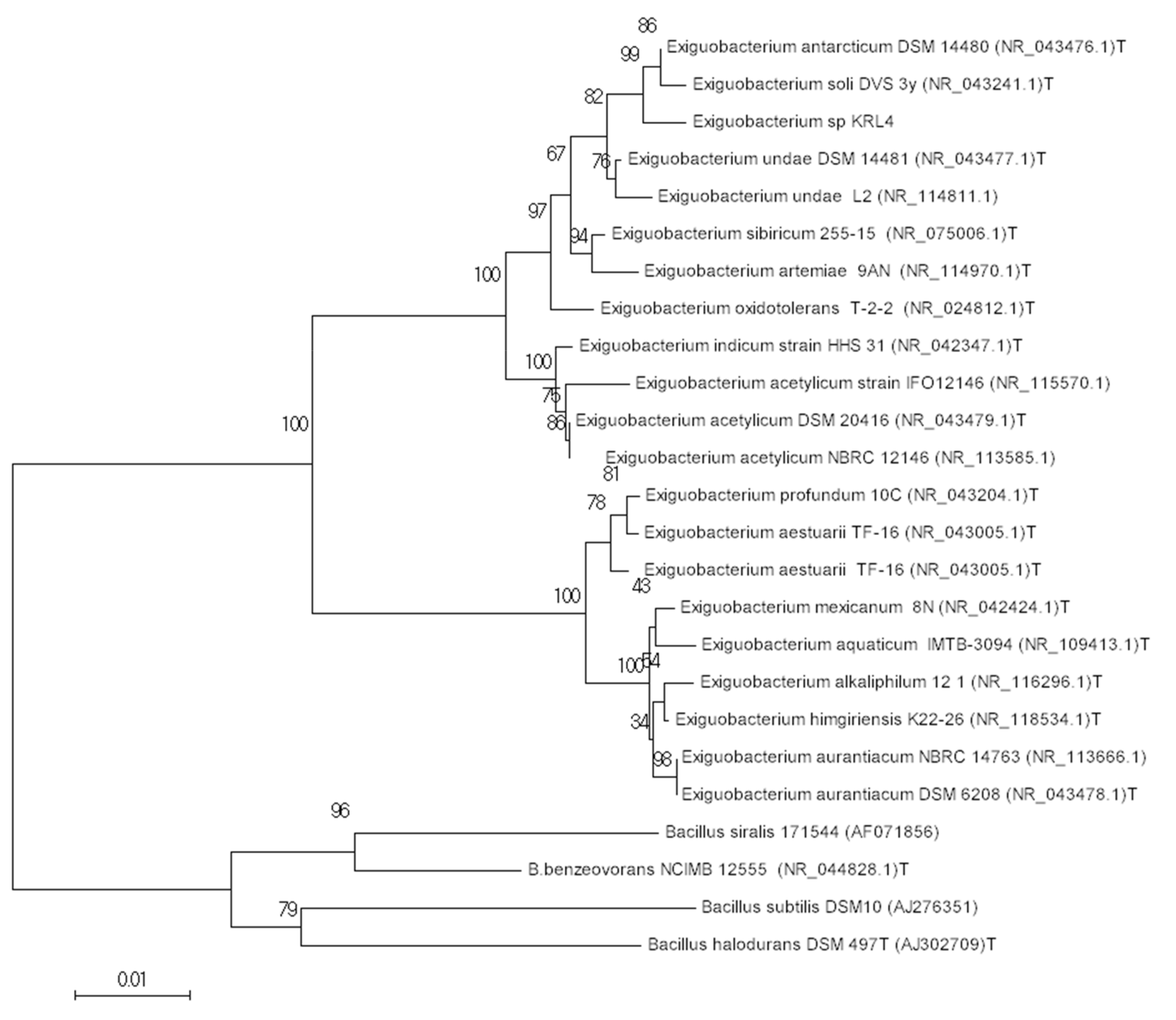 Microorganisms 09 00890 g002