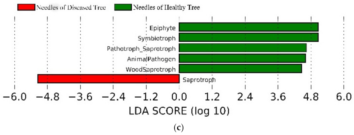 Microorganisms 09 00896 g007b Microorganisms 09 00896 g007b