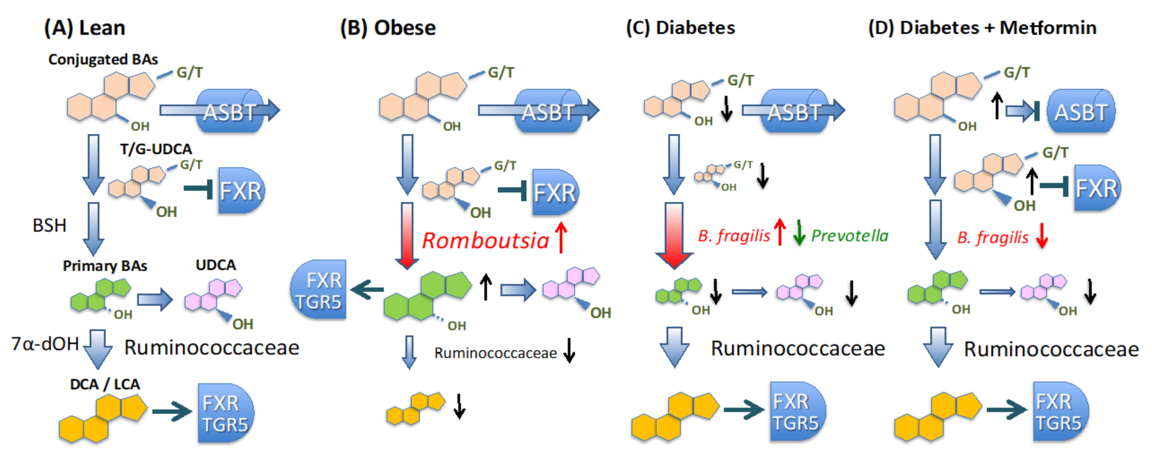 Microorganisms 09 00897 g007
