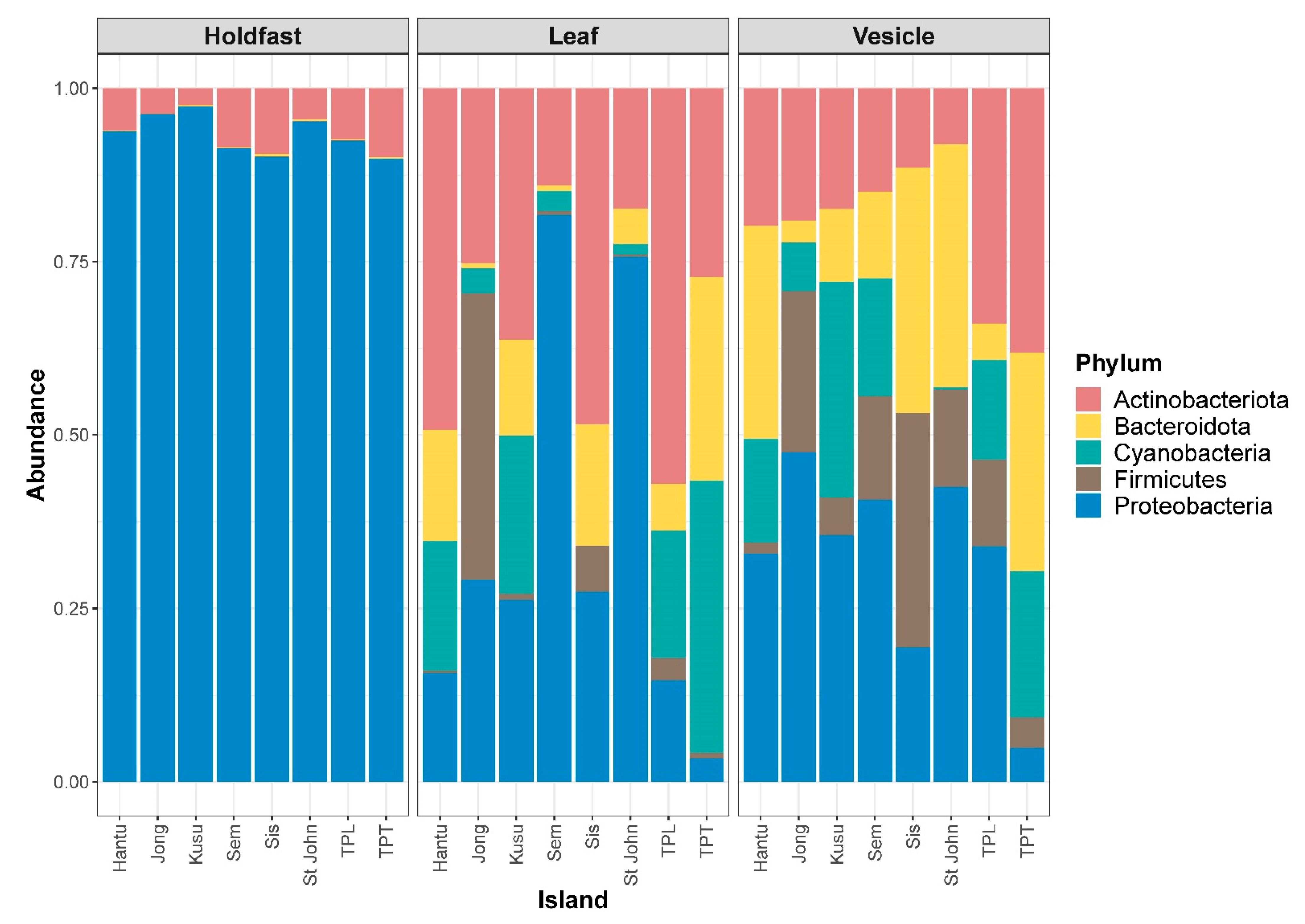 Microorganisms 09 00898 g003