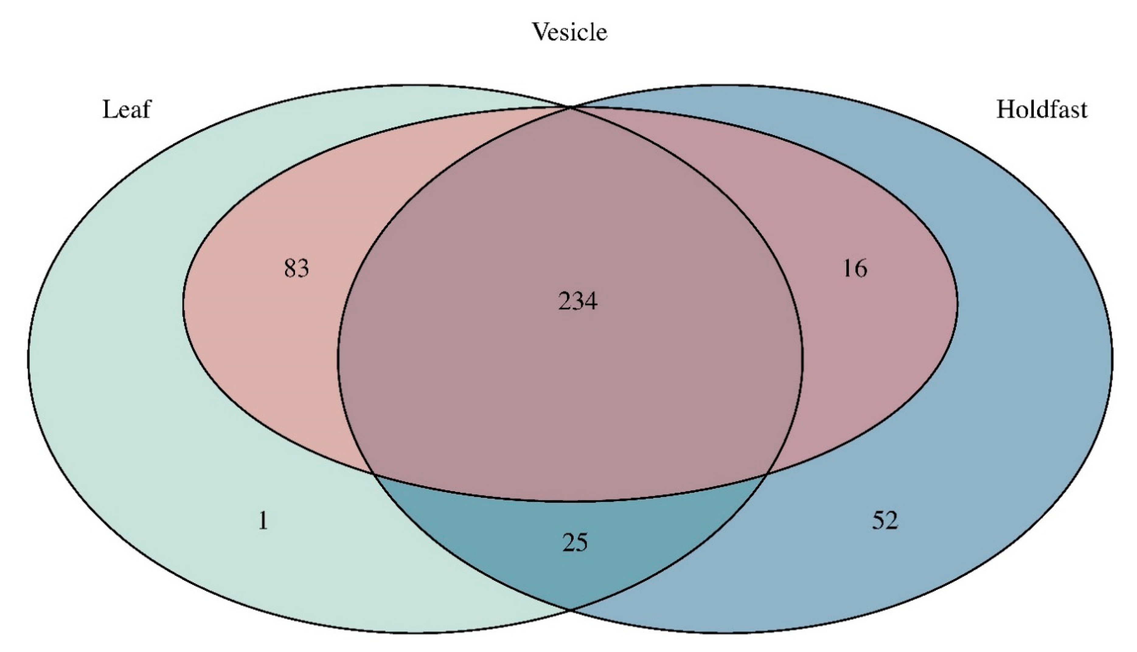 Microorganisms 09 00898 g004