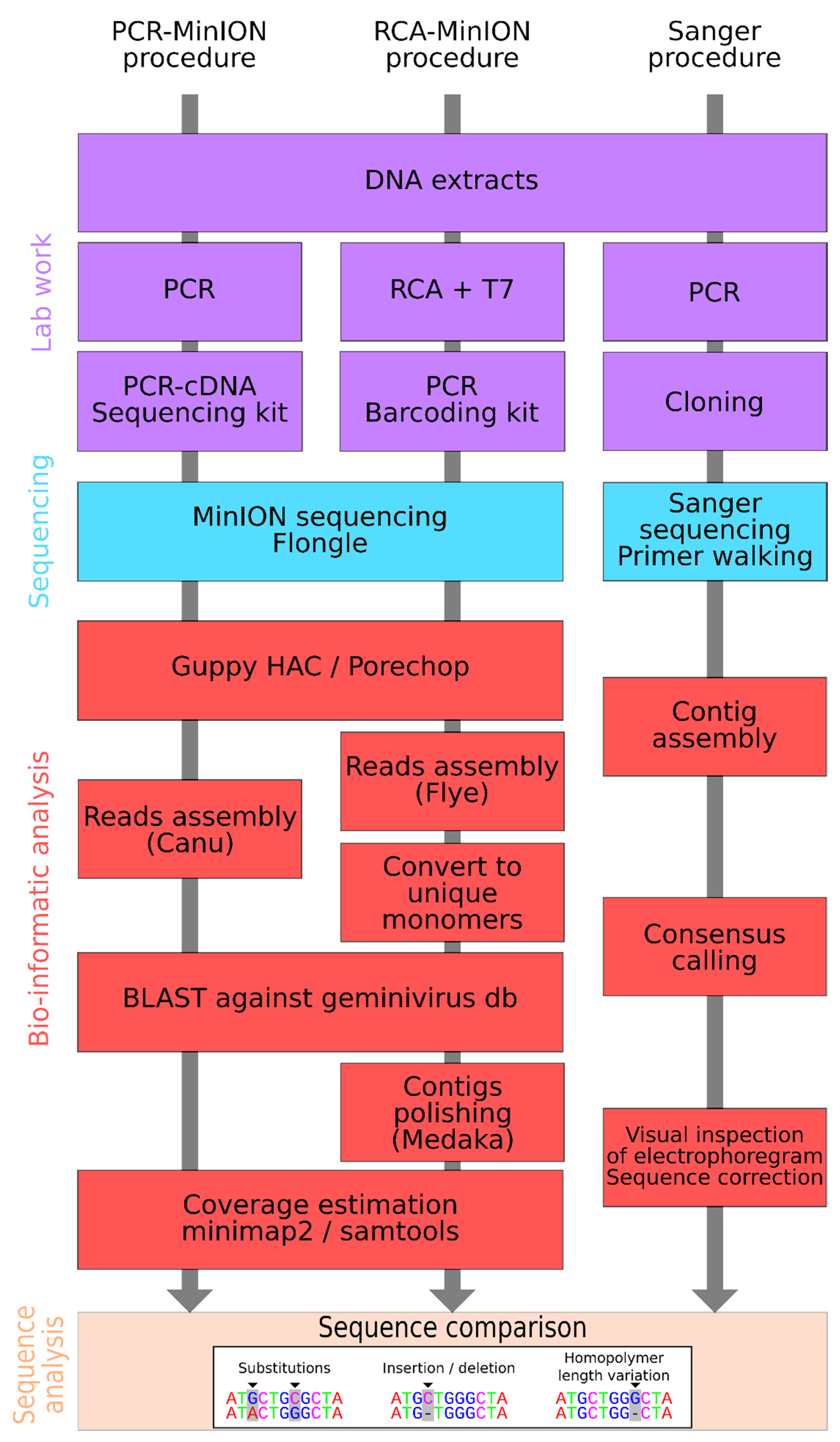 Microorganisms 09 00903 g001