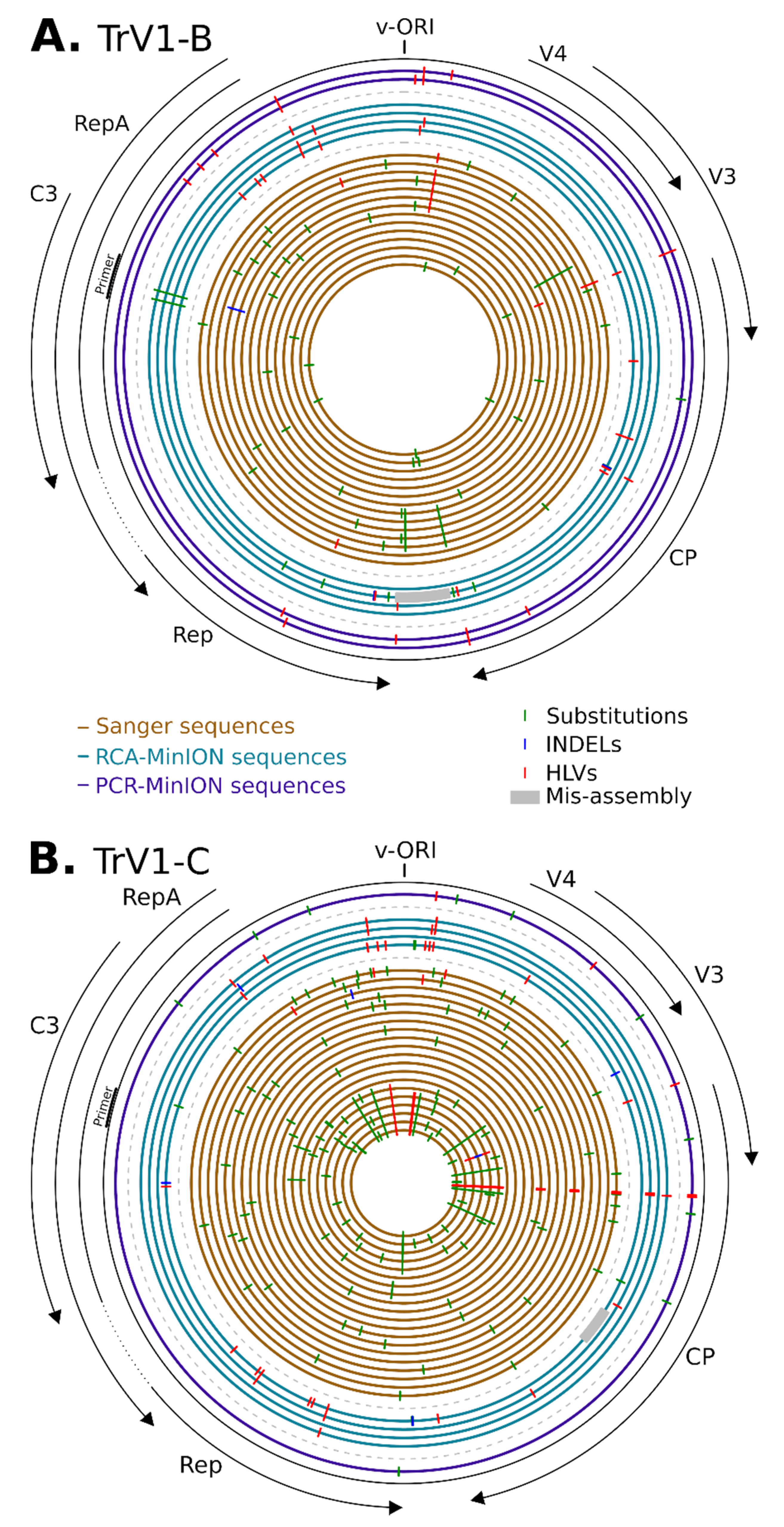 Microorganisms 09 00903 g003
