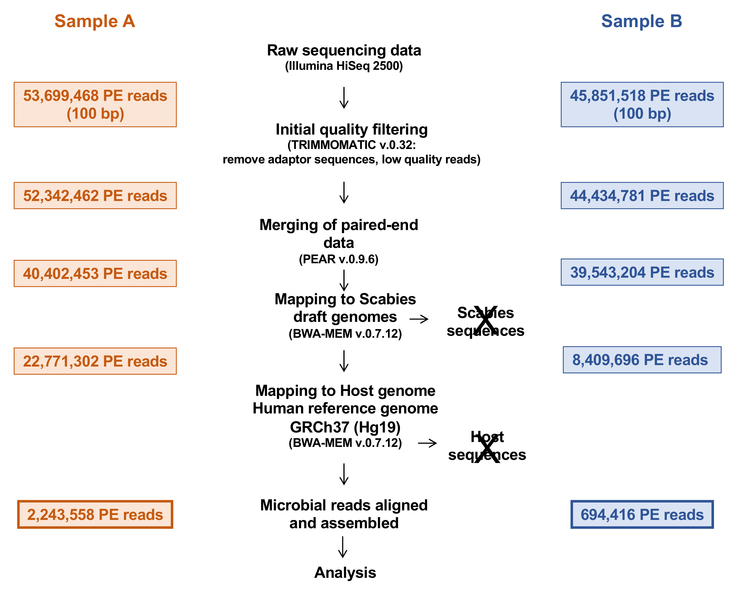 Microorganisms 09 00907 g001