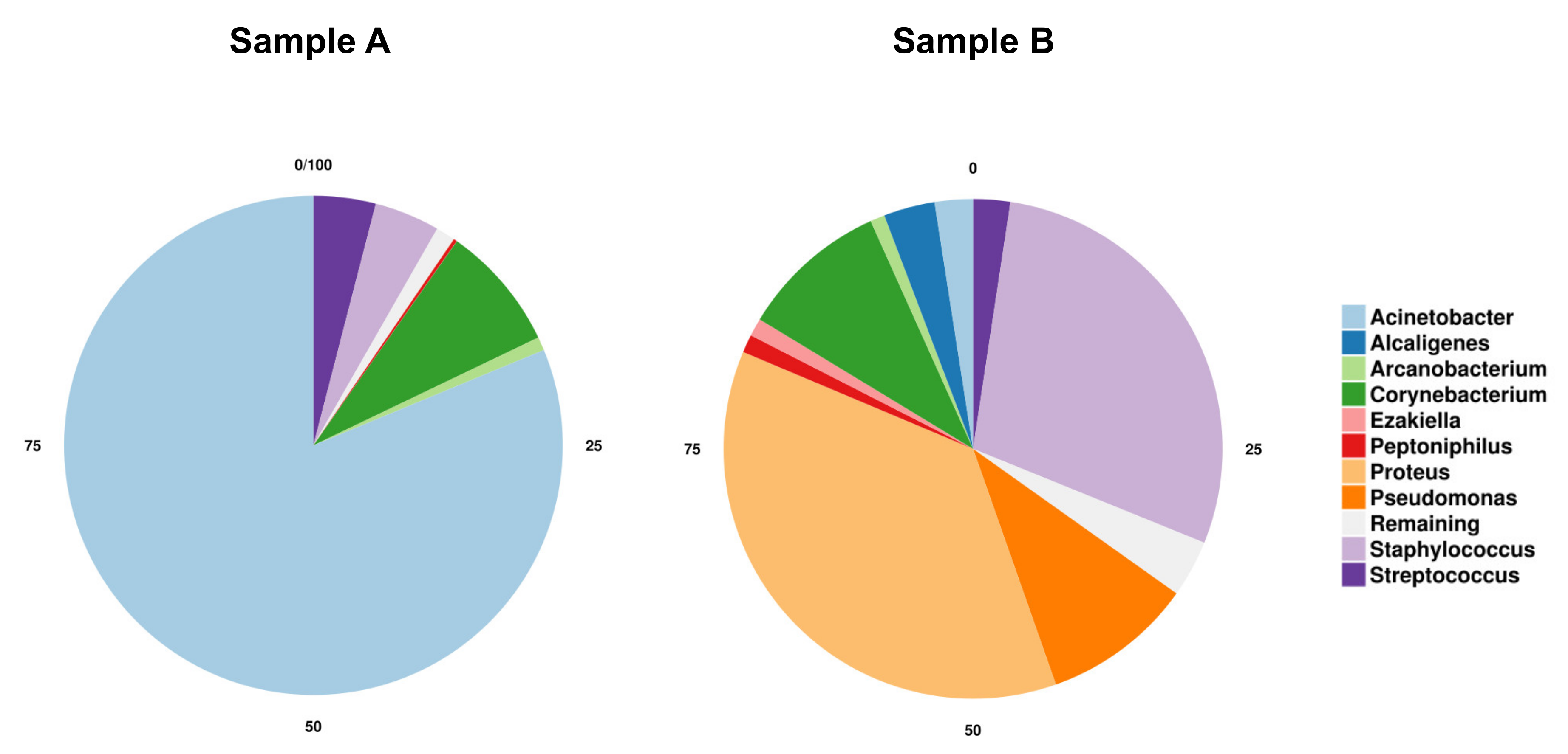 Microorganisms 09 00907 g003