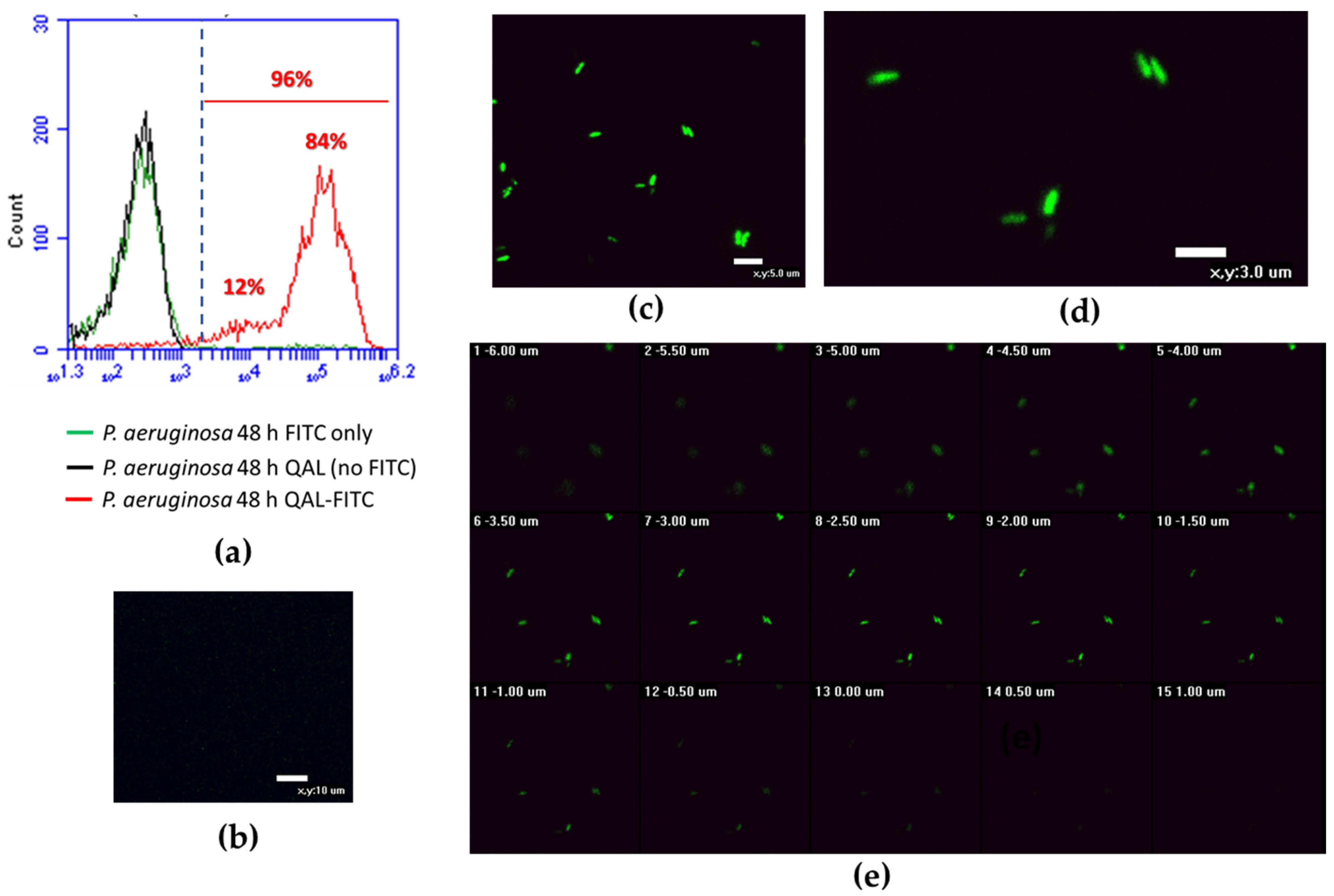 Microorganisms 09 00912 g005 Microorganisms 09 00912 g005