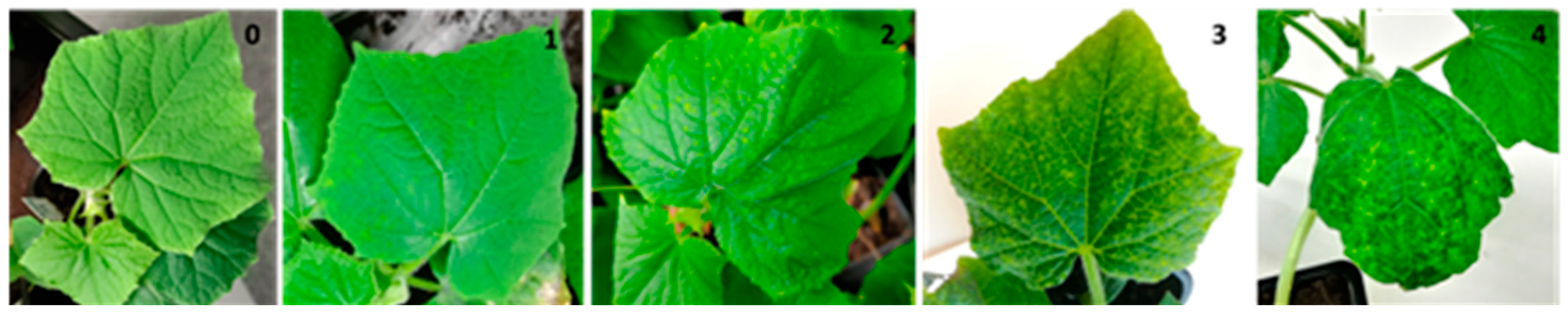 Microorganisms 09 00913 g001 Microorganisms 09 00913 g001