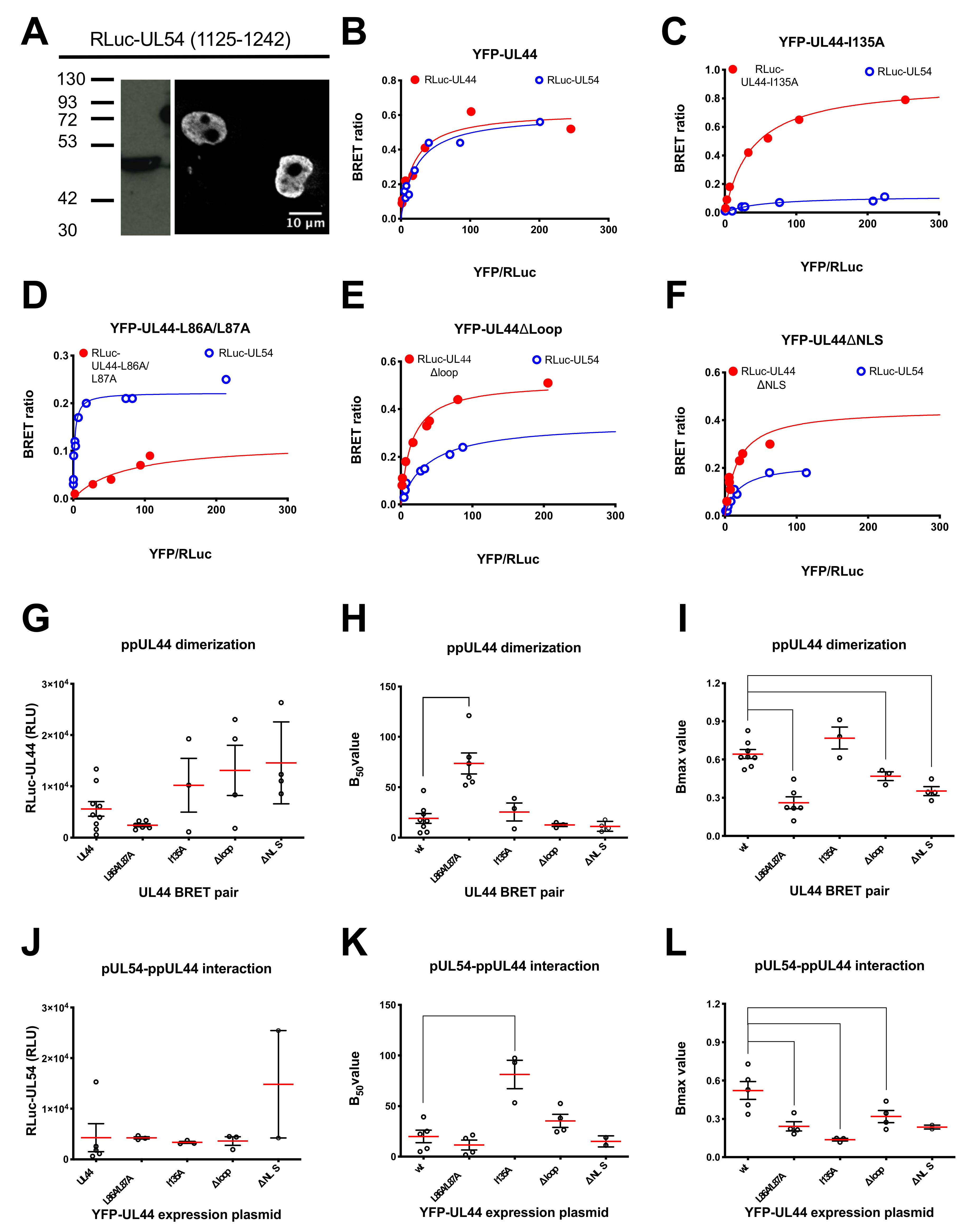 Microorganisms 09 00928 g004 Microorganisms 09 00928 g004