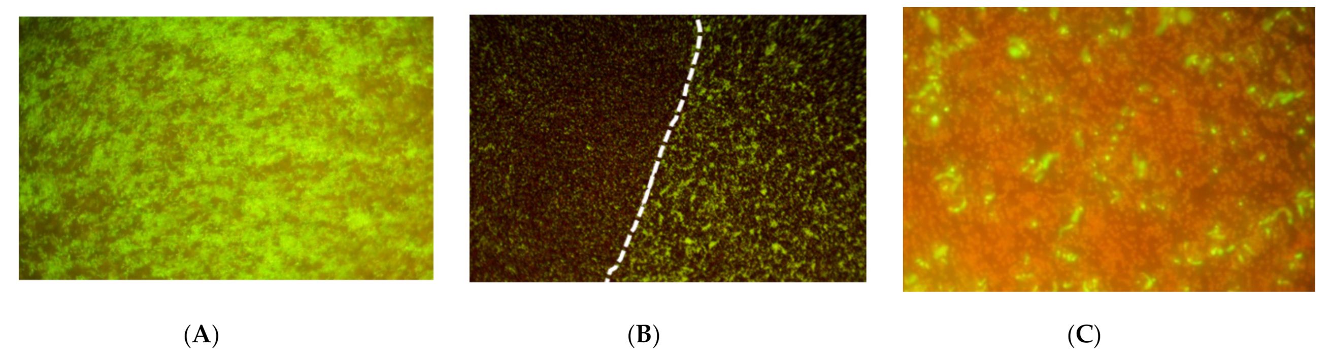 Microorganisms 09 00929 g004 Microorganisms 09 00929 g004