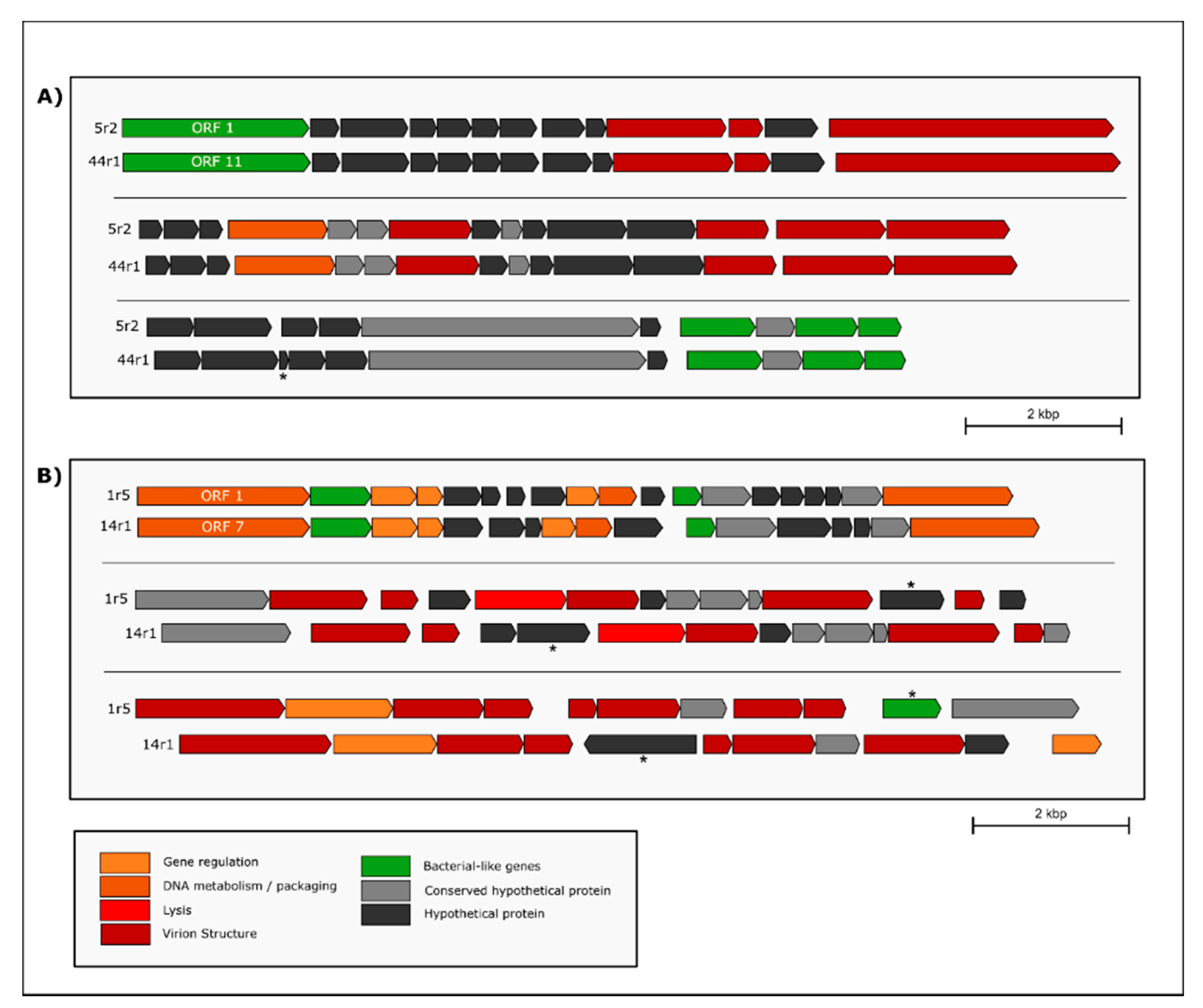 Microorganisms 09 00931 g006 Microorganisms 09 00931 g006