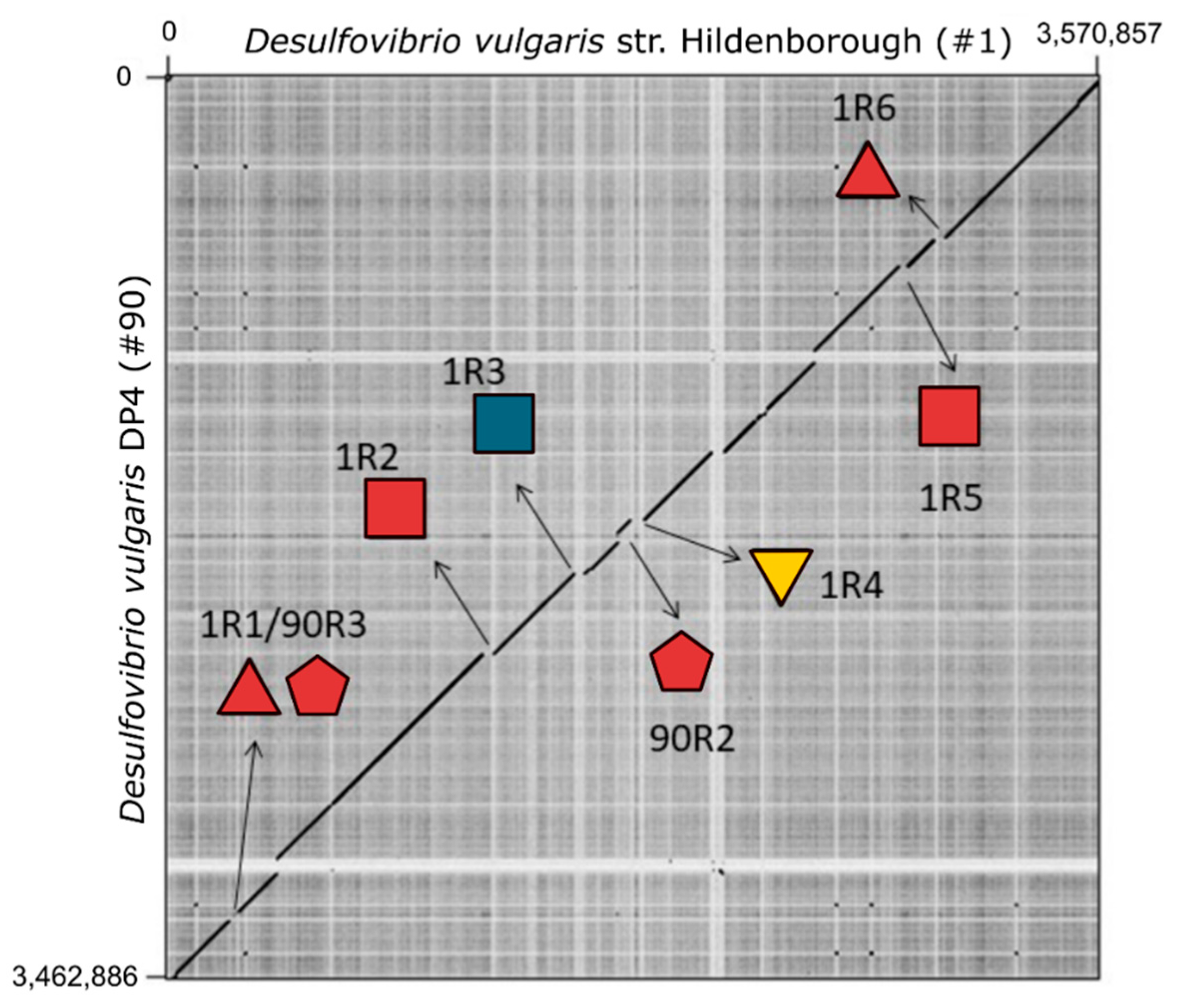 Microorganisms 09 00931 g007 Microorganisms 09 00931 g007