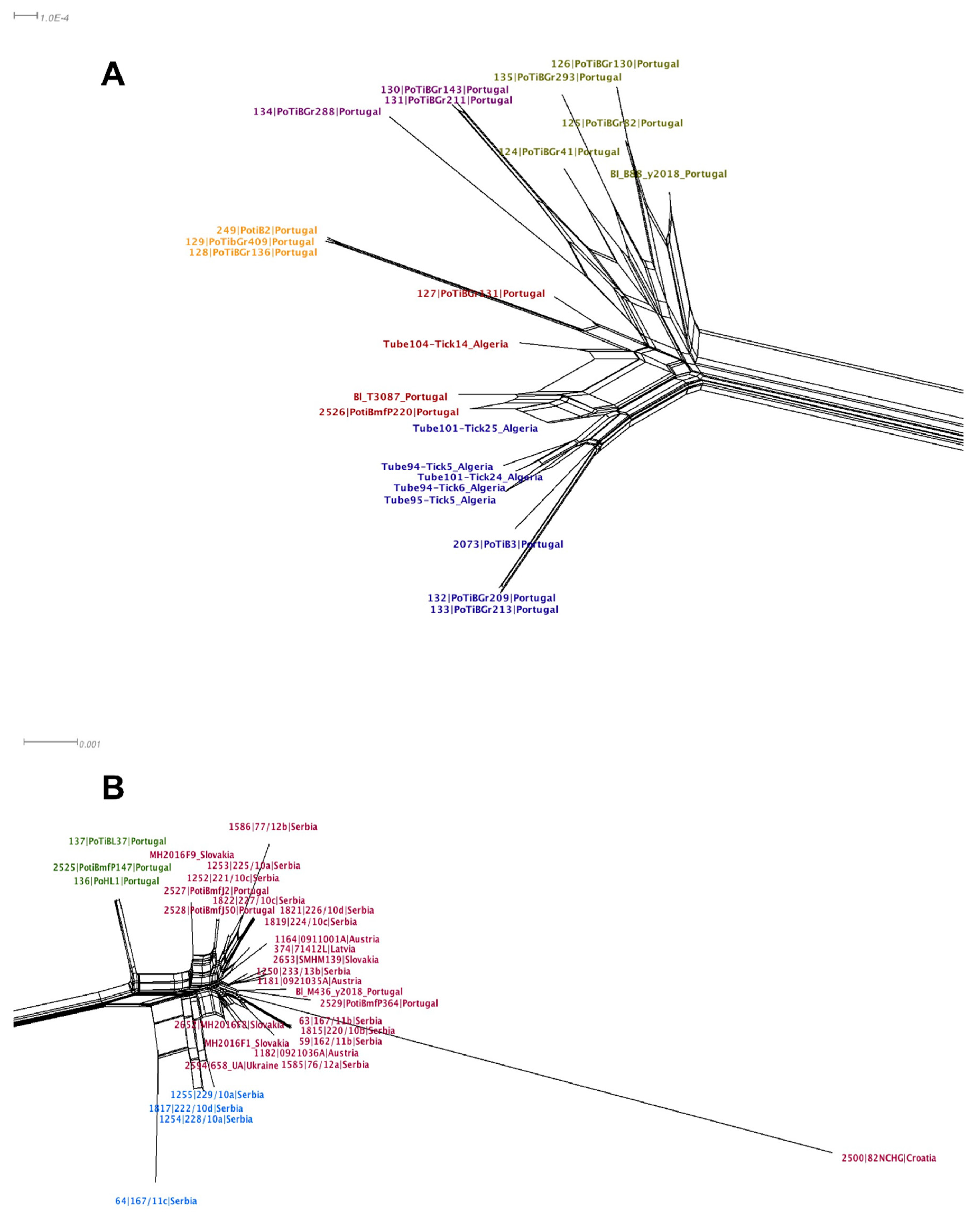 Microorganisms 09 00933 g004