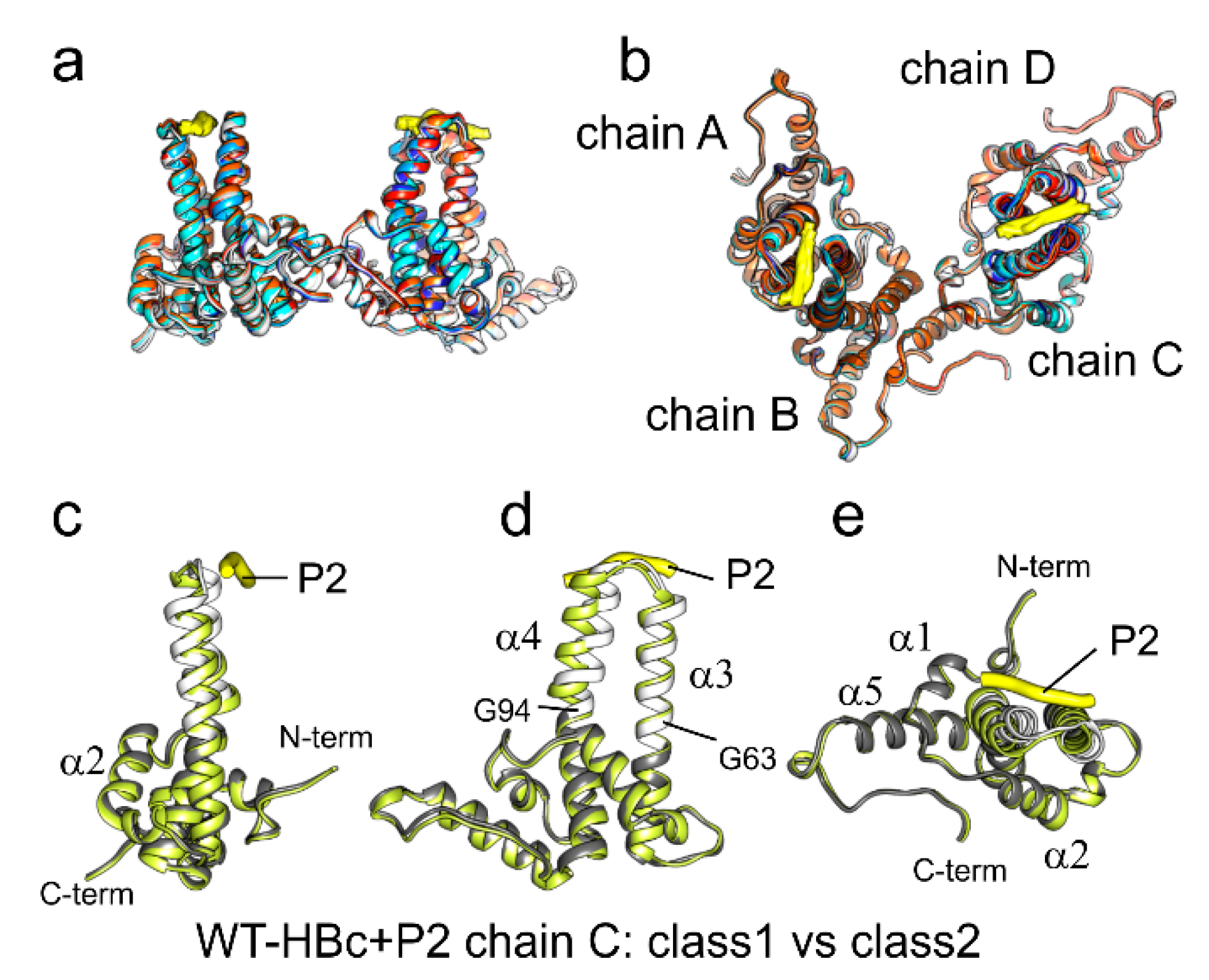 Microorganisms 09 00956 g005