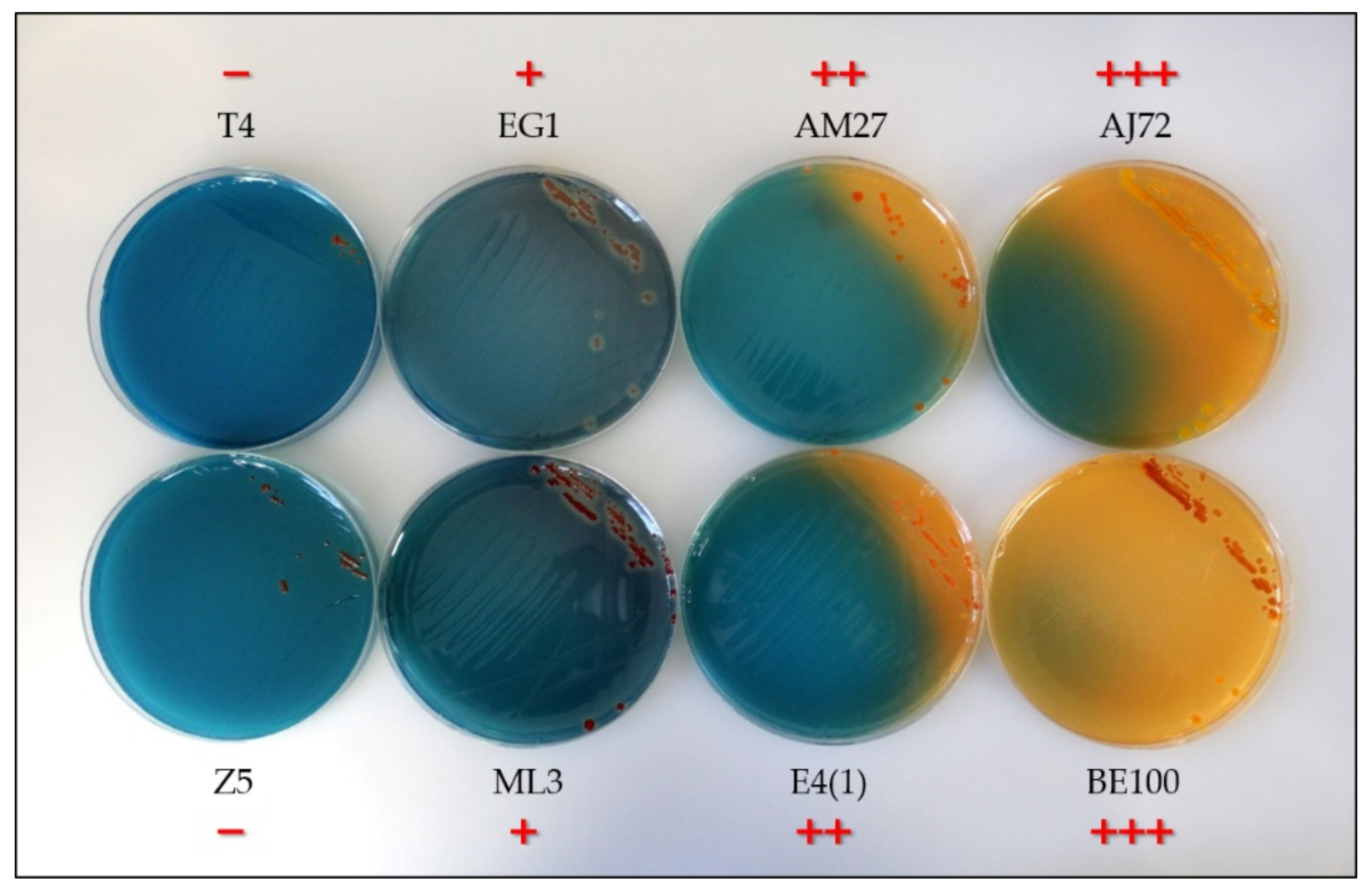 Microorganisms 09 00959 g0a1